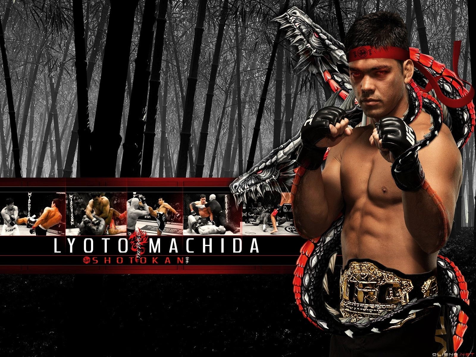 720P, mma, fight, extreme, arts, machida, ufc, lyoto, martial, mixed, HD Wallpaper