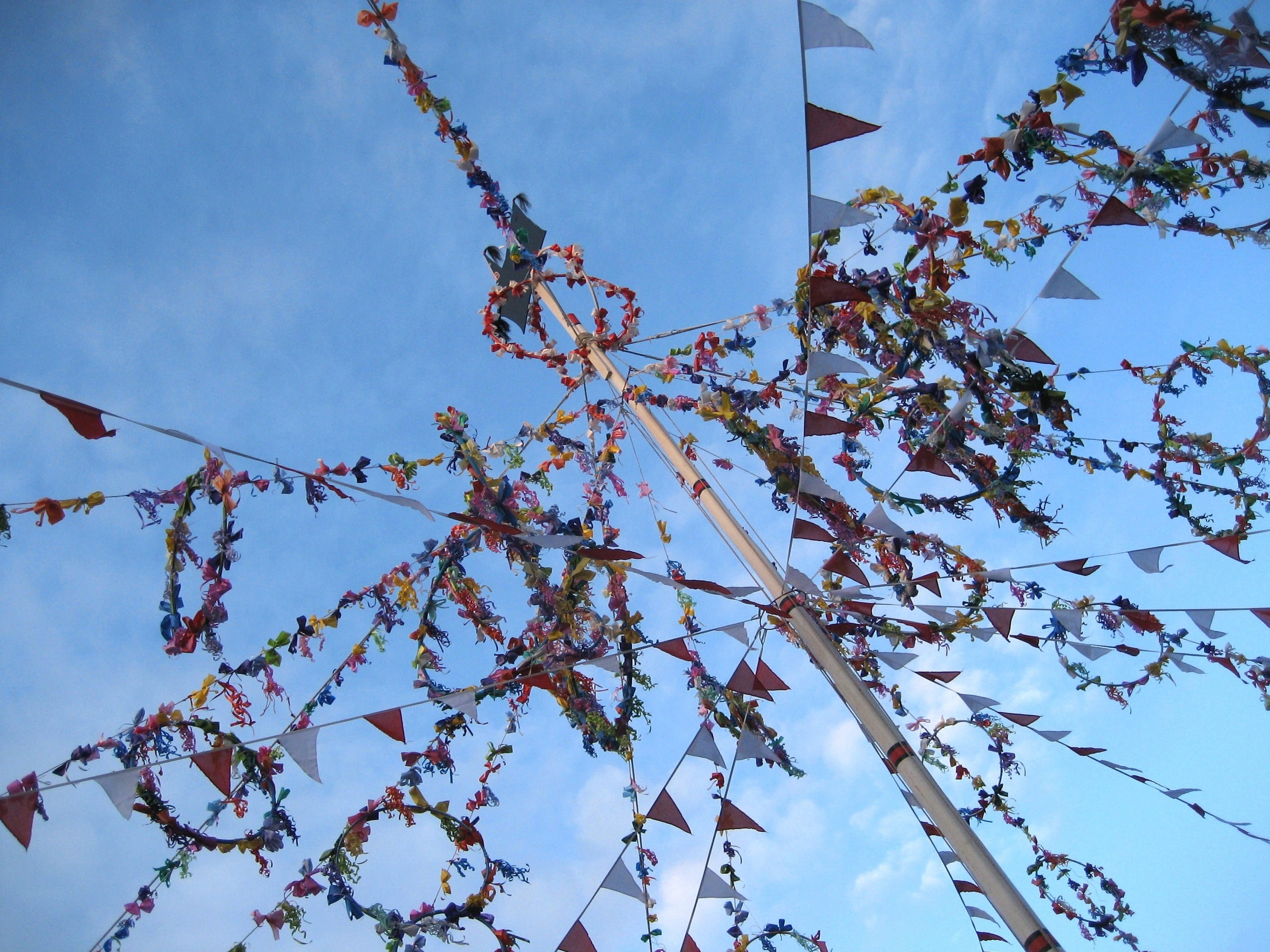 cherry blossom, branch, cherry tree, May Pole, May Day, beauty in nature, outdoors, flower, daytime, may, banners, Old, nature, Oss, old oss, plant, springtime, HD Wallpaper