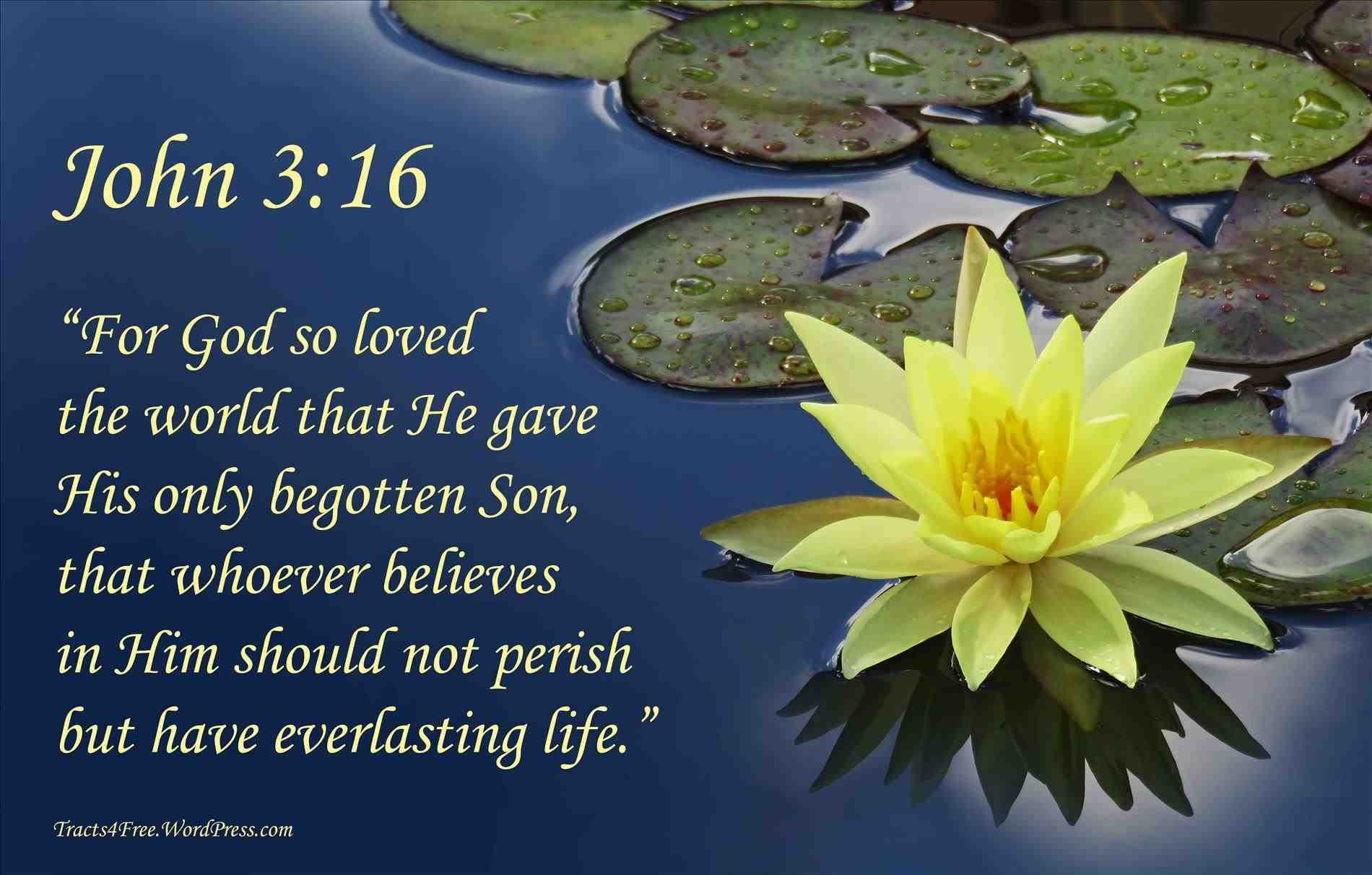 720P, religion, typography, text, bible, verses, quote, motivational, HD Wallpaper