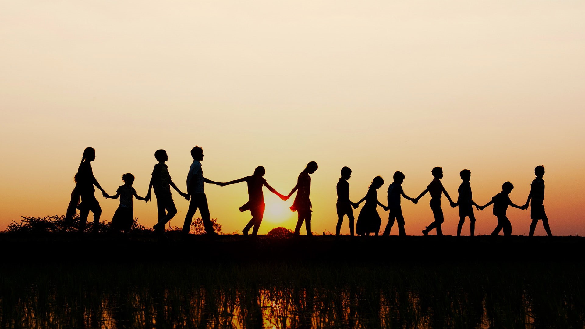 sunset, Andhra Pradesh, India, 1080P, silhouette, rice field, children, HD Wallpaper