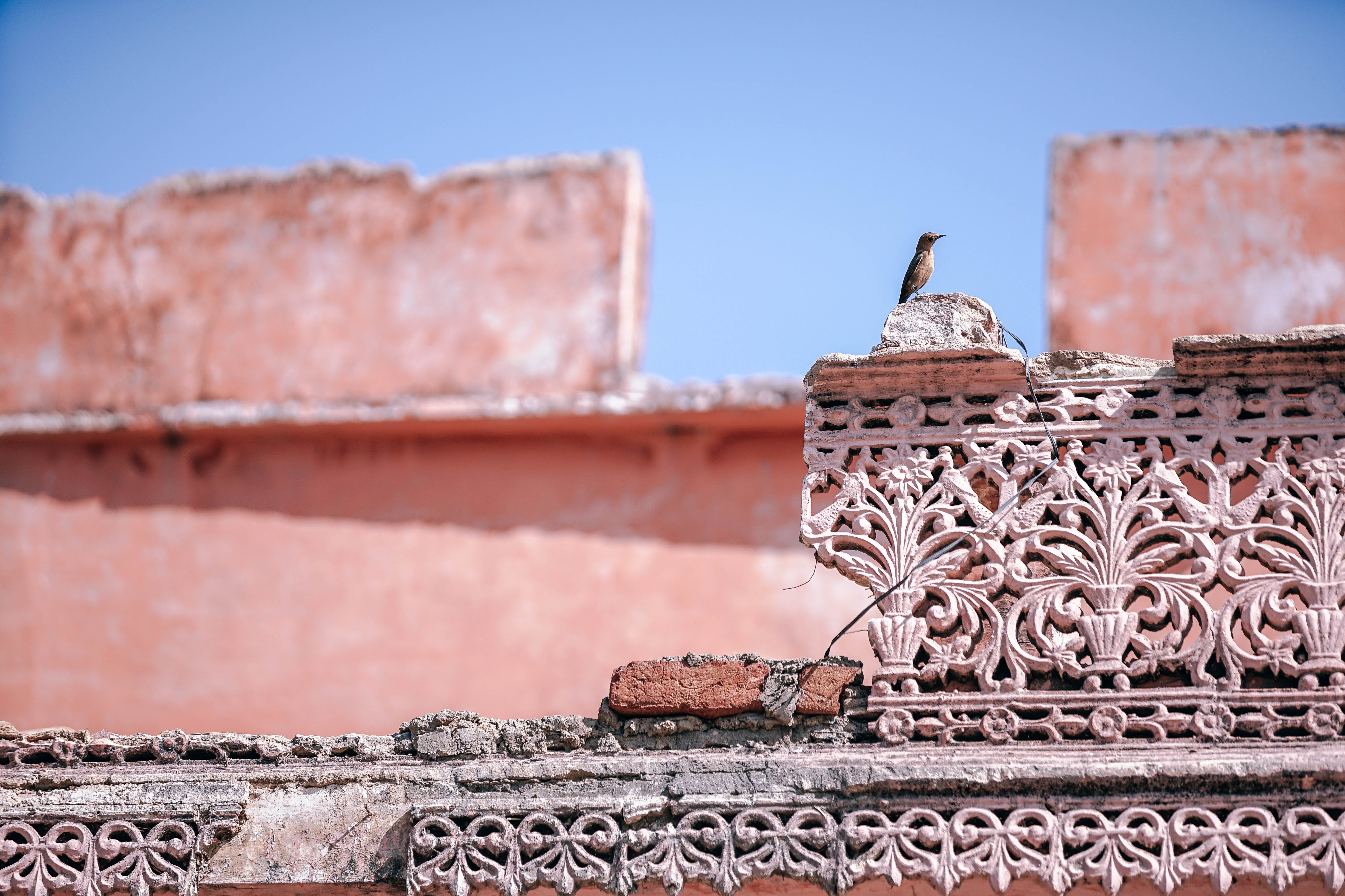 sky, building exterior, hill, copy space, metal, roof tile, indian, history, brick, bird, photo, outdoors, closeup, blue, indium, rajasthan, built structure, HD Wallpaper