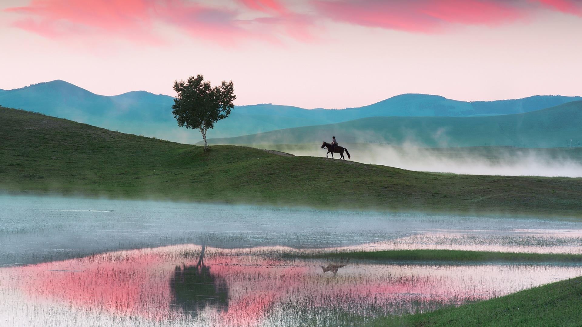 reflection, land, mountain, landscape, ecoregion, kaladalaxiang, mountain range, xinjiang, outdoors, tranquil scene, no people, mammal, nature, grass, domestic animals, HD Wallpaper