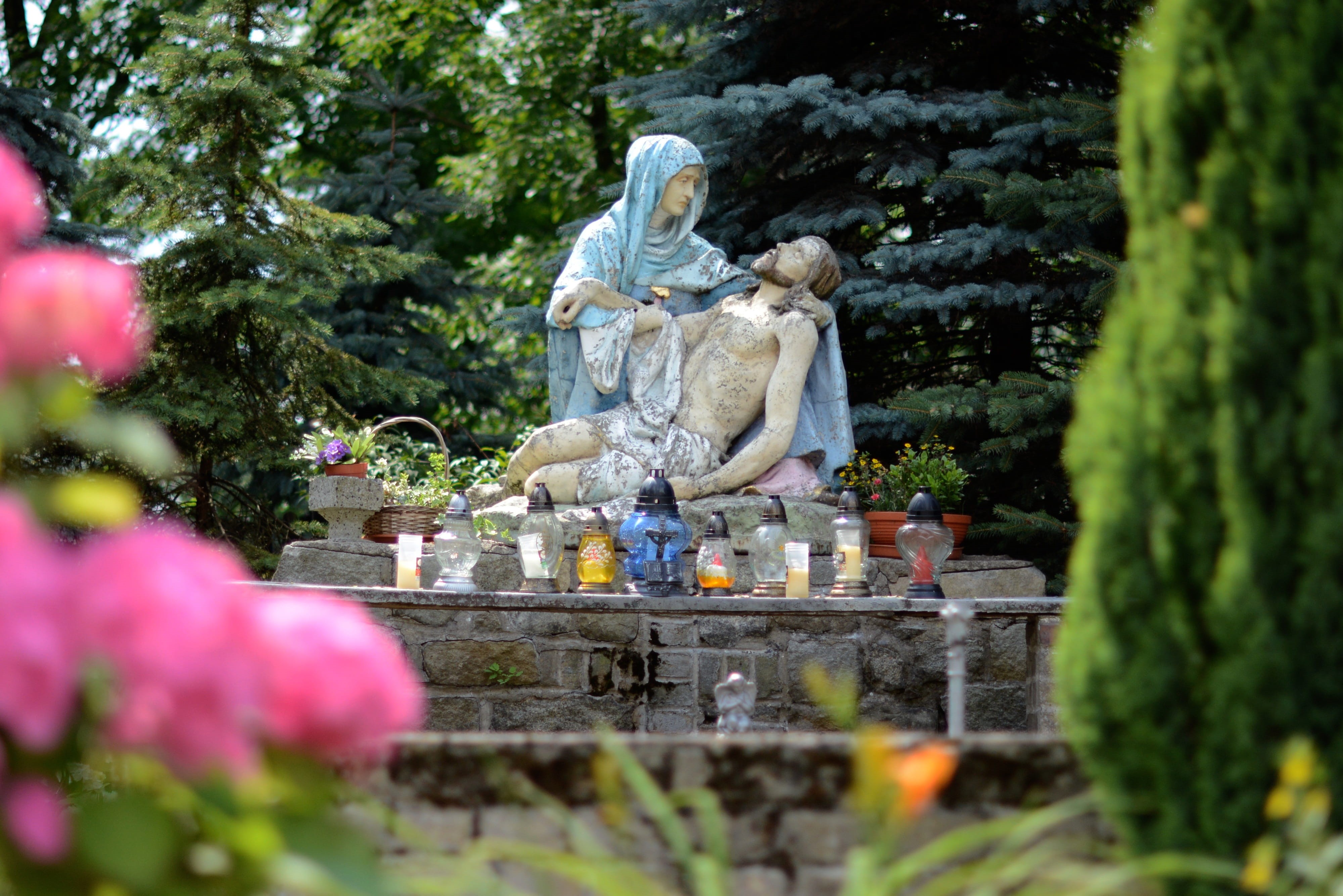 plant, creativity, growth, selective focus, representation, 4K, the statue, religion, flowering plant, the figurine, tree, day, nature, mother of god, HD Wallpaper