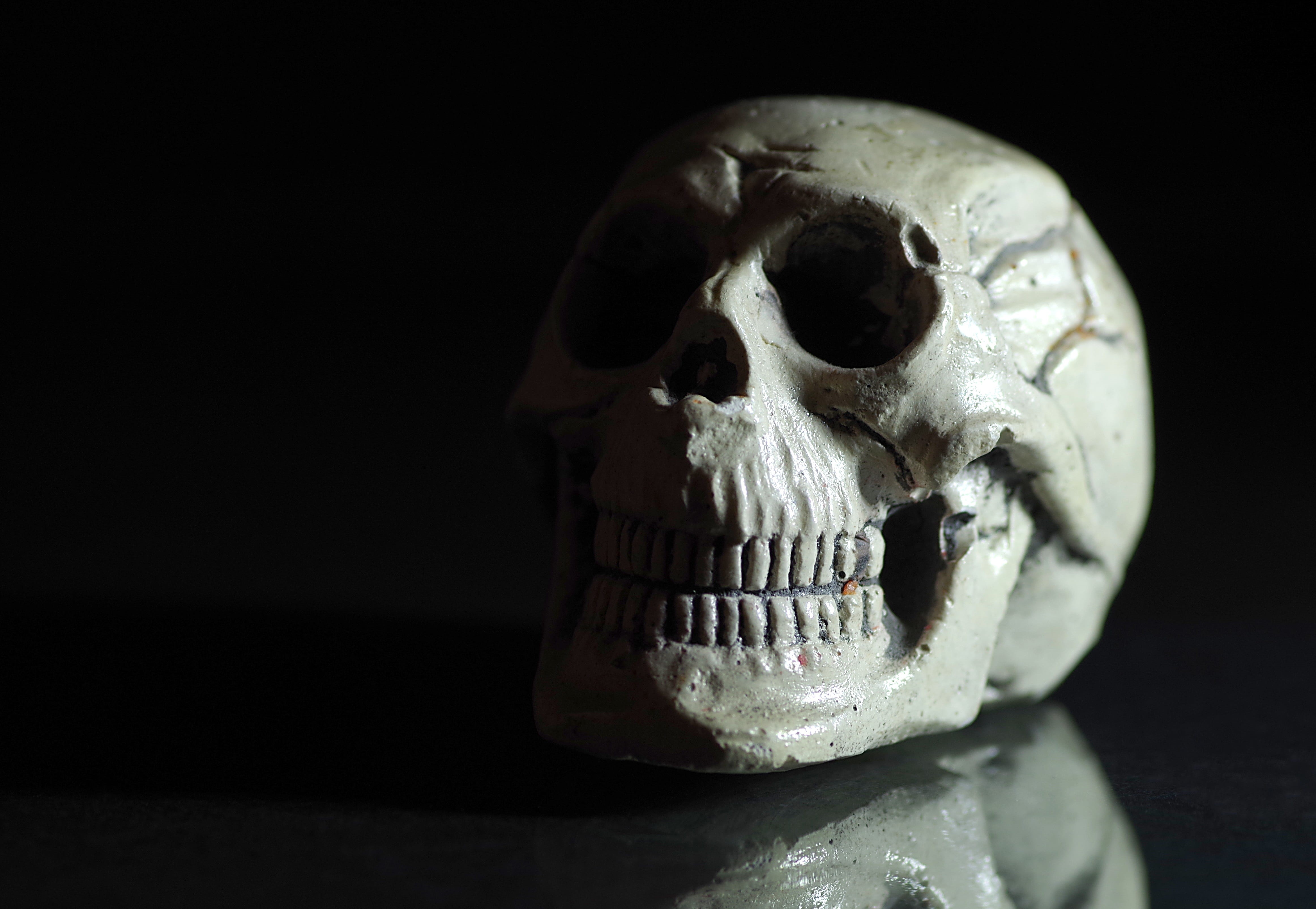 indoors, dead, cemetery, death, fear, skull, single object, the human, human skull, terrible, black, horror, spooky, horror movie, black background, the corpse, HD Wallpaper