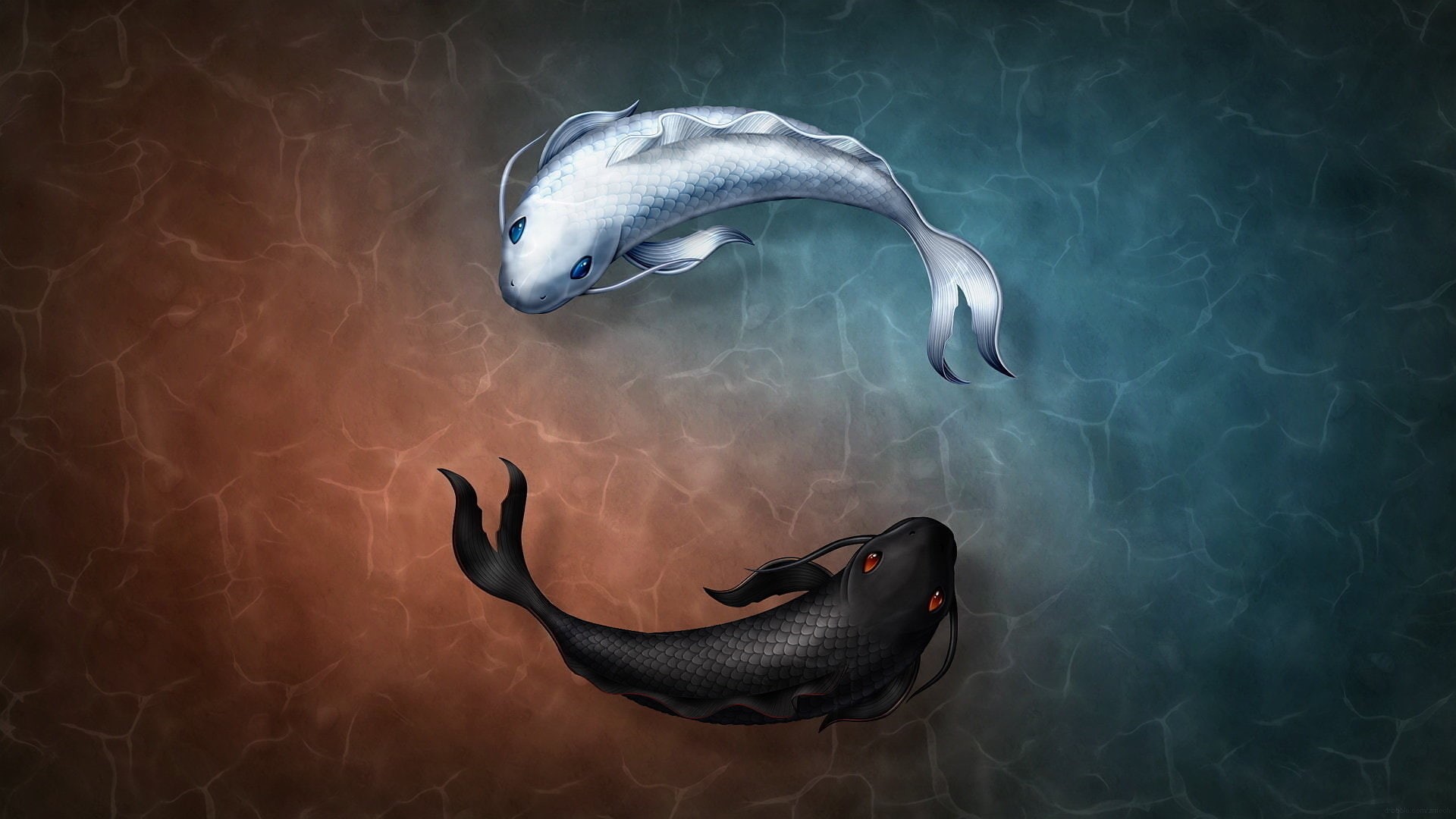 yang, 1080P, symbol, fish, yin, HD Wallpaper