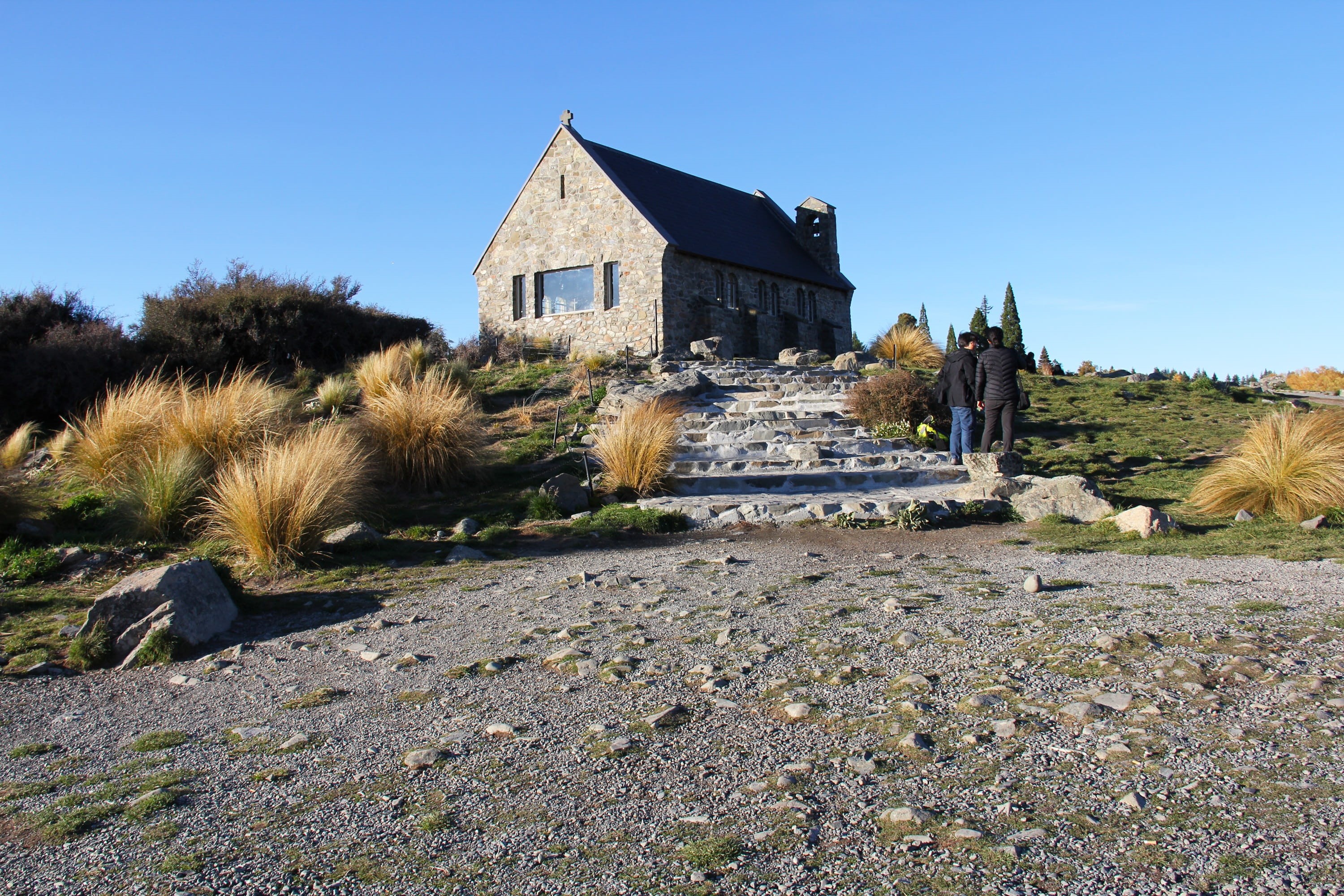 sunny, autumn leaves, rural Scene, lake tekapo, copy space, solid, blue, popular, cold, lake, travel destinations, beauty, water, plant, shepherd, no People, HD Wallpaper