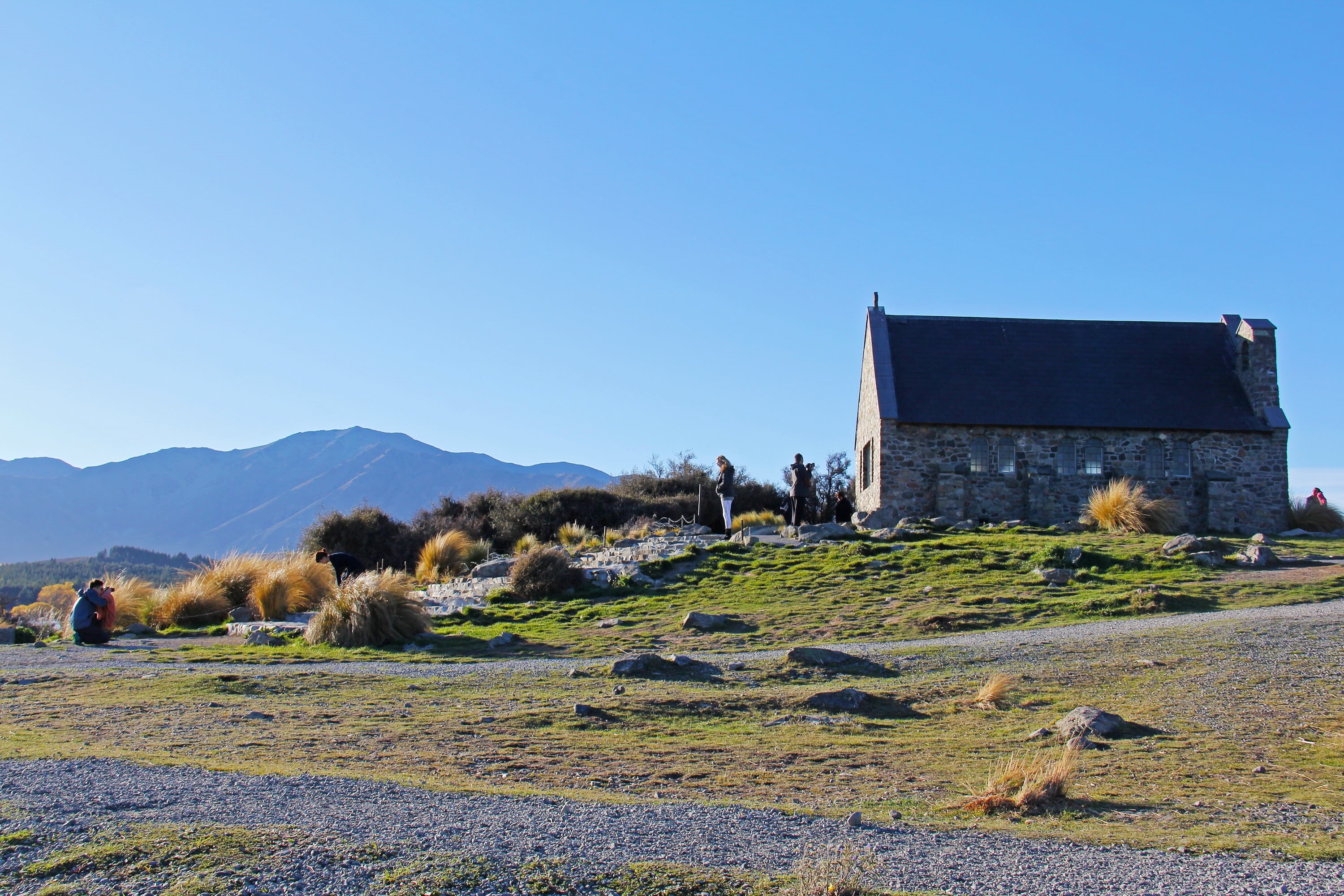 animal, autumn, blue, amazing, beauty, new zealand, sunlight, scenics - nature, building exterior, colorful, beautiful, autumn leaves, 2K, church, land, HD Wallpaper