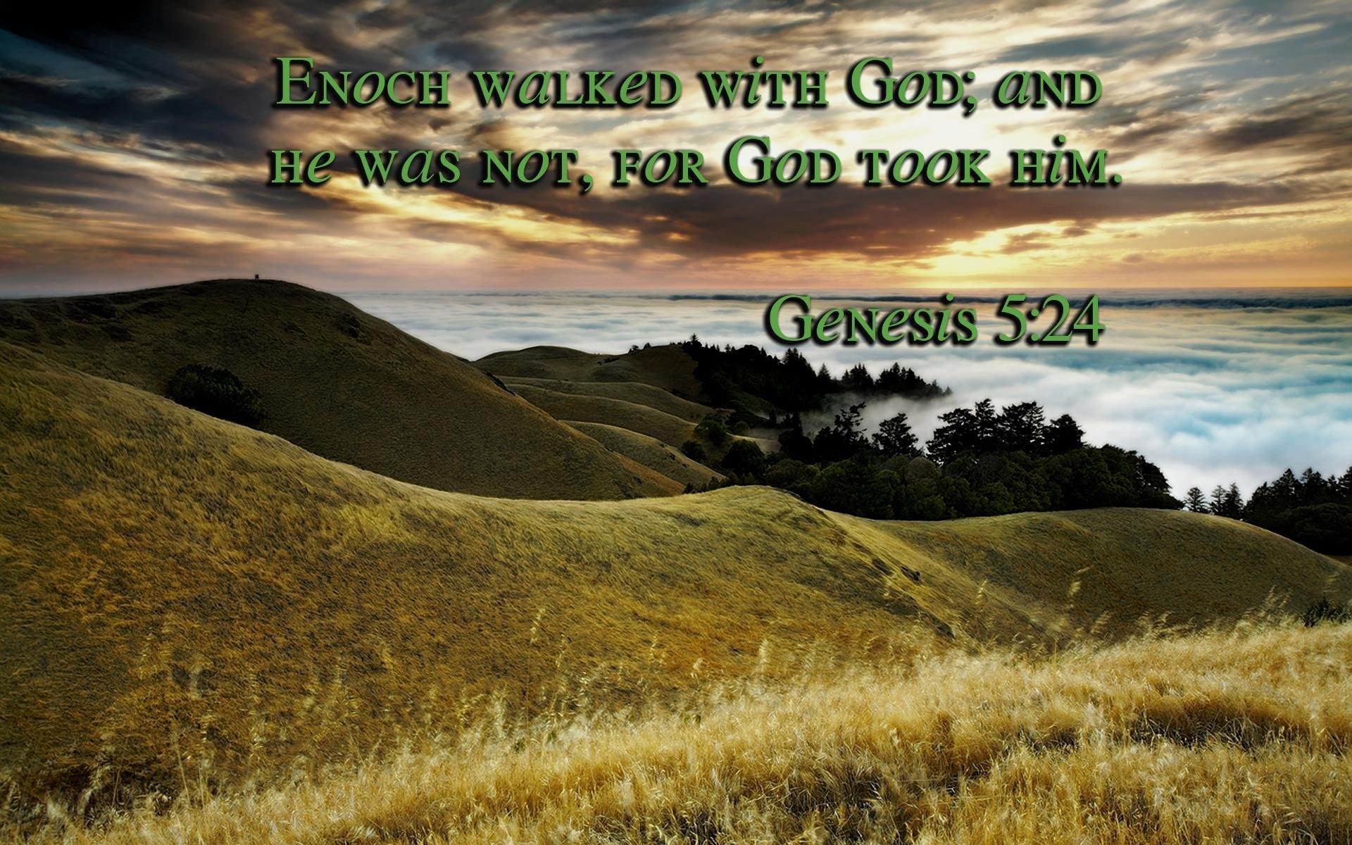 holy spirit, enoch, god, jesus, 1080P, walked, scriptures, bible verses, nature and landscap, bible, mountains, oceans, HD Wallpaper
