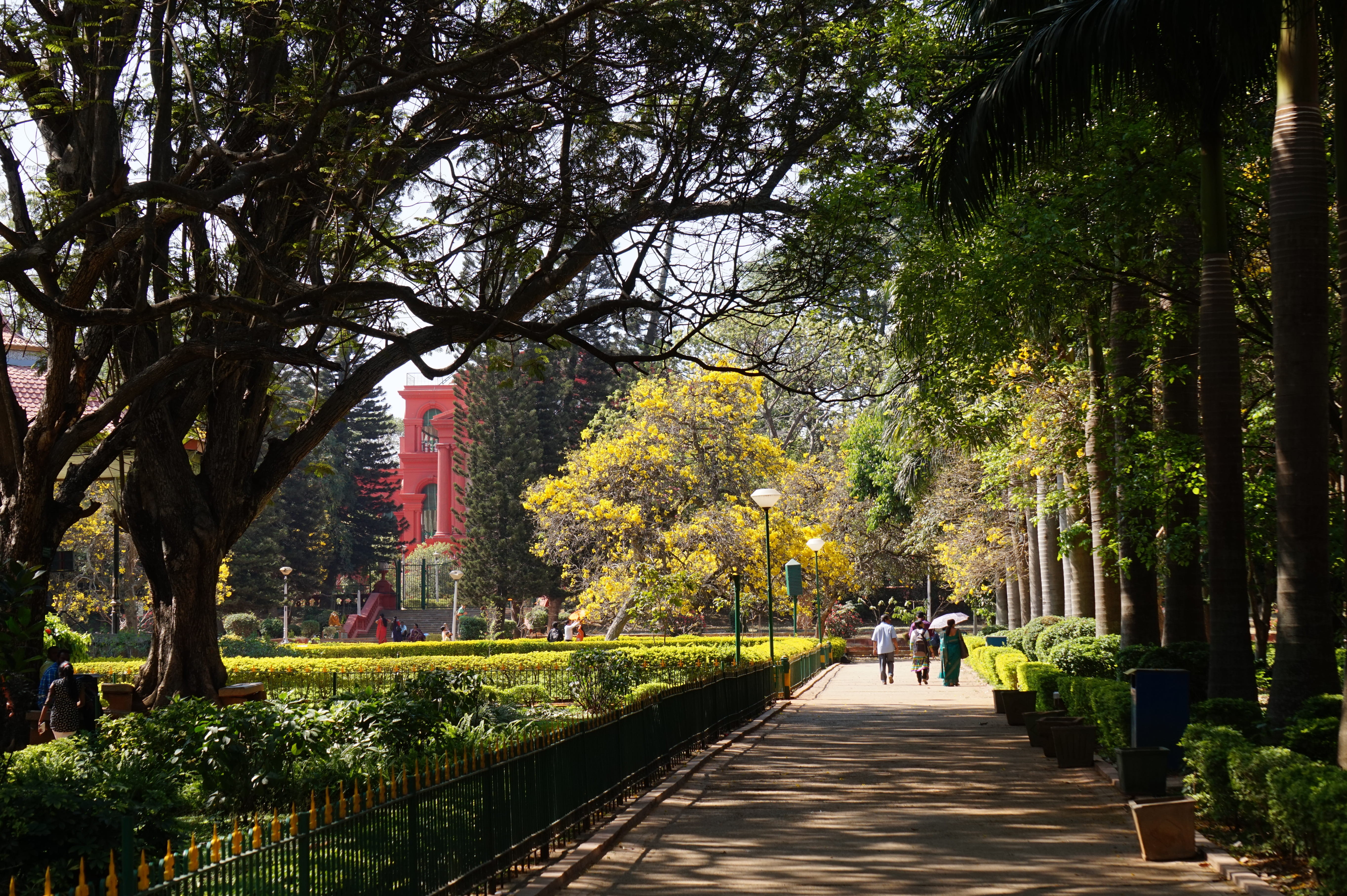 nature, india, architecture, building exterior, bengaluru, garden, the way forward, direction, incidental people, trunk, indians, outdoors, treelined, trees, HD Wallpaper
