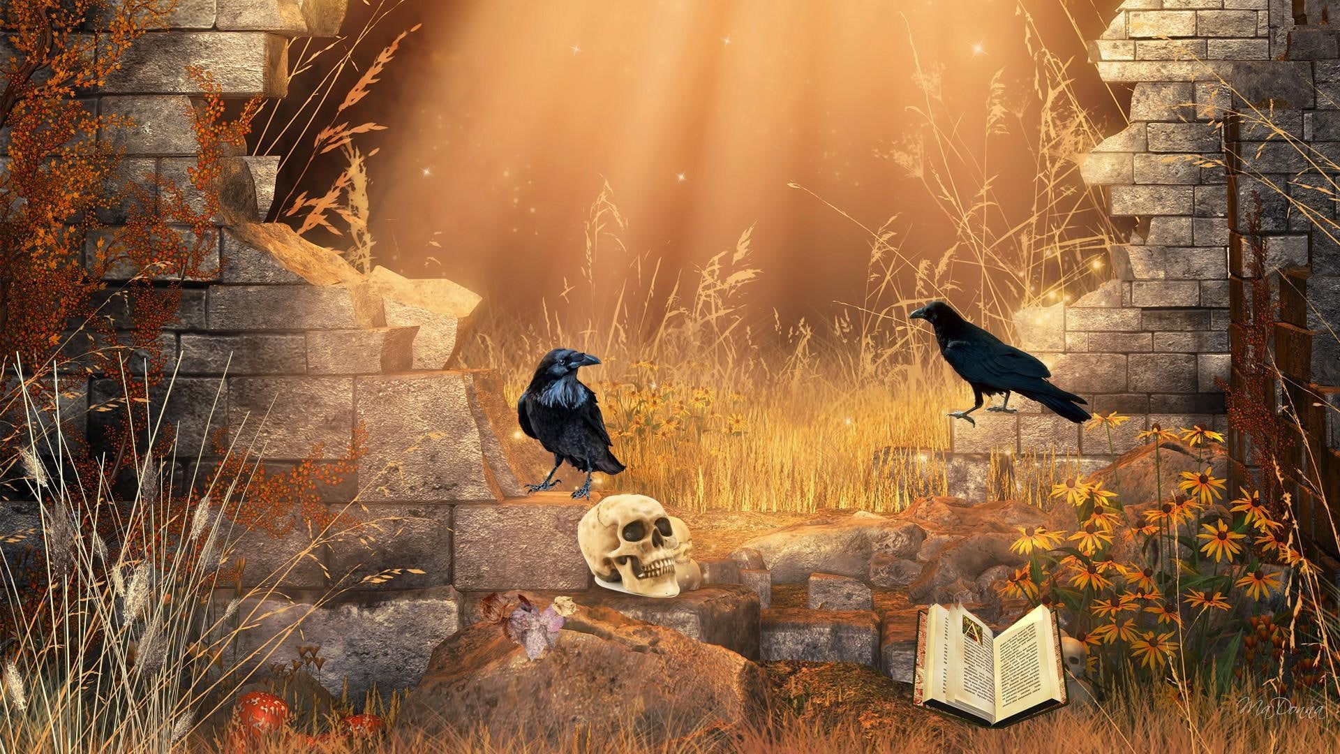 birds, goth, macabre, book, autumn, flowers, 1080P, leaves, firefox persona, skulls, gothic, grass, morning, mystica, ravens, HD Wallpaper
