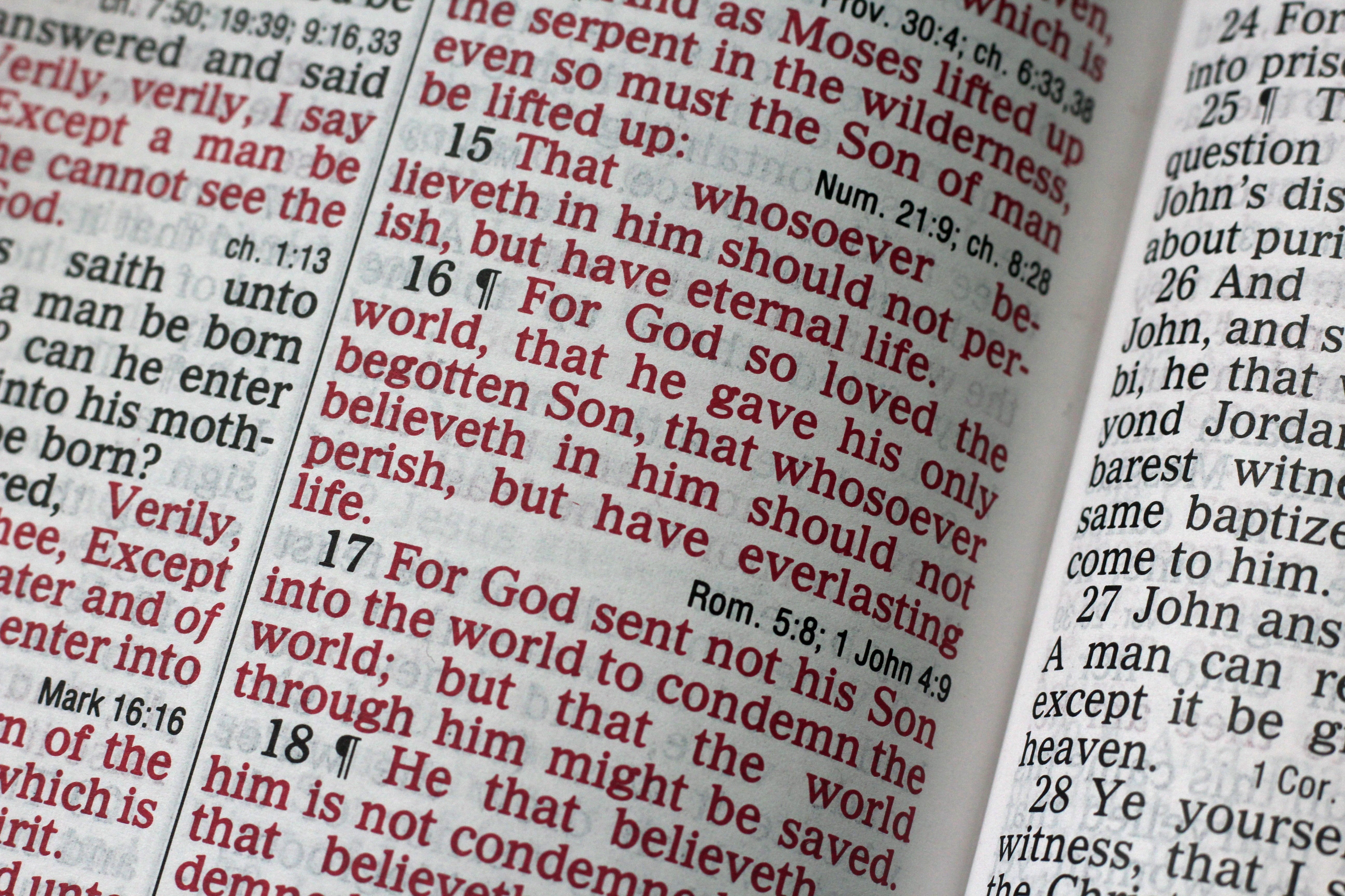 no people, god, book, selective focus, john 3 16, indoors, full frame, faith, close-up, sign, data, religion, financial figures, spirituality, western script, HD Wallpaper
