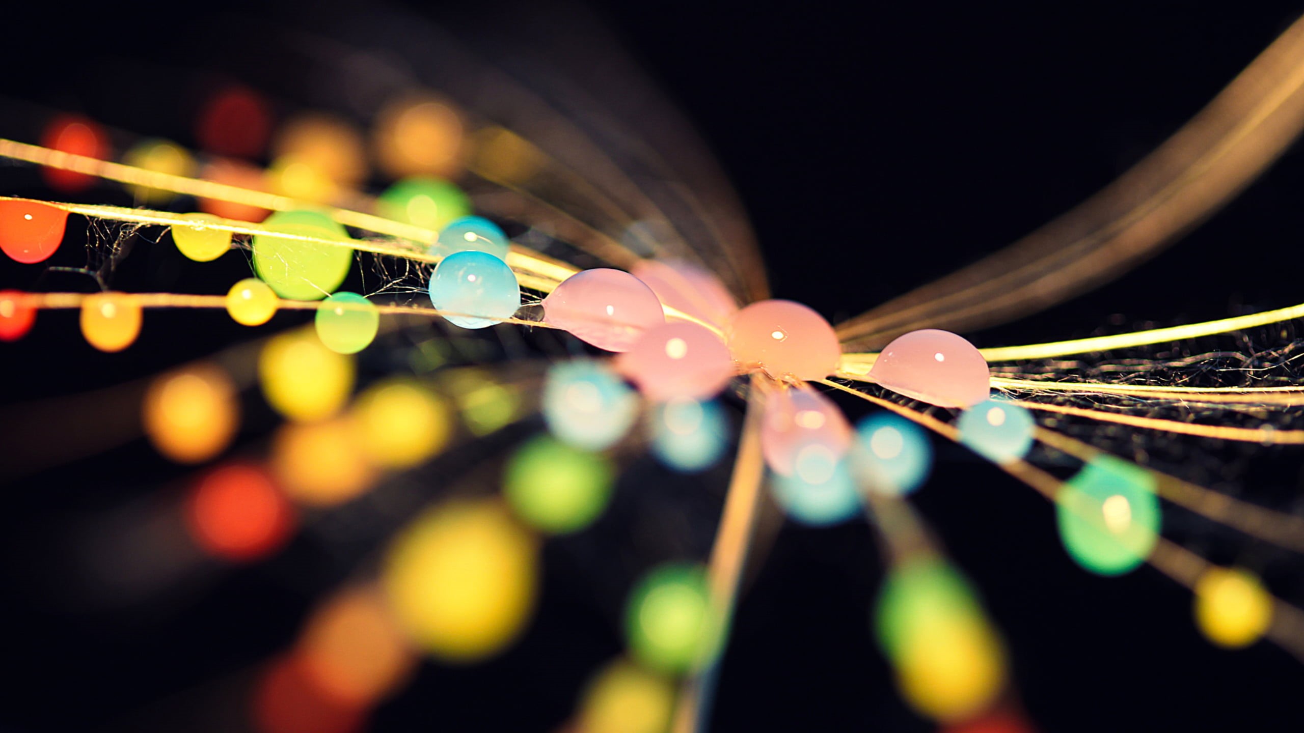 cable, computer network, water drops, illuminated, no people, indoors, technology, multi Colored, fiber optic, assorted, backgrounds, closeup, enjoyment, HD Wallpaper