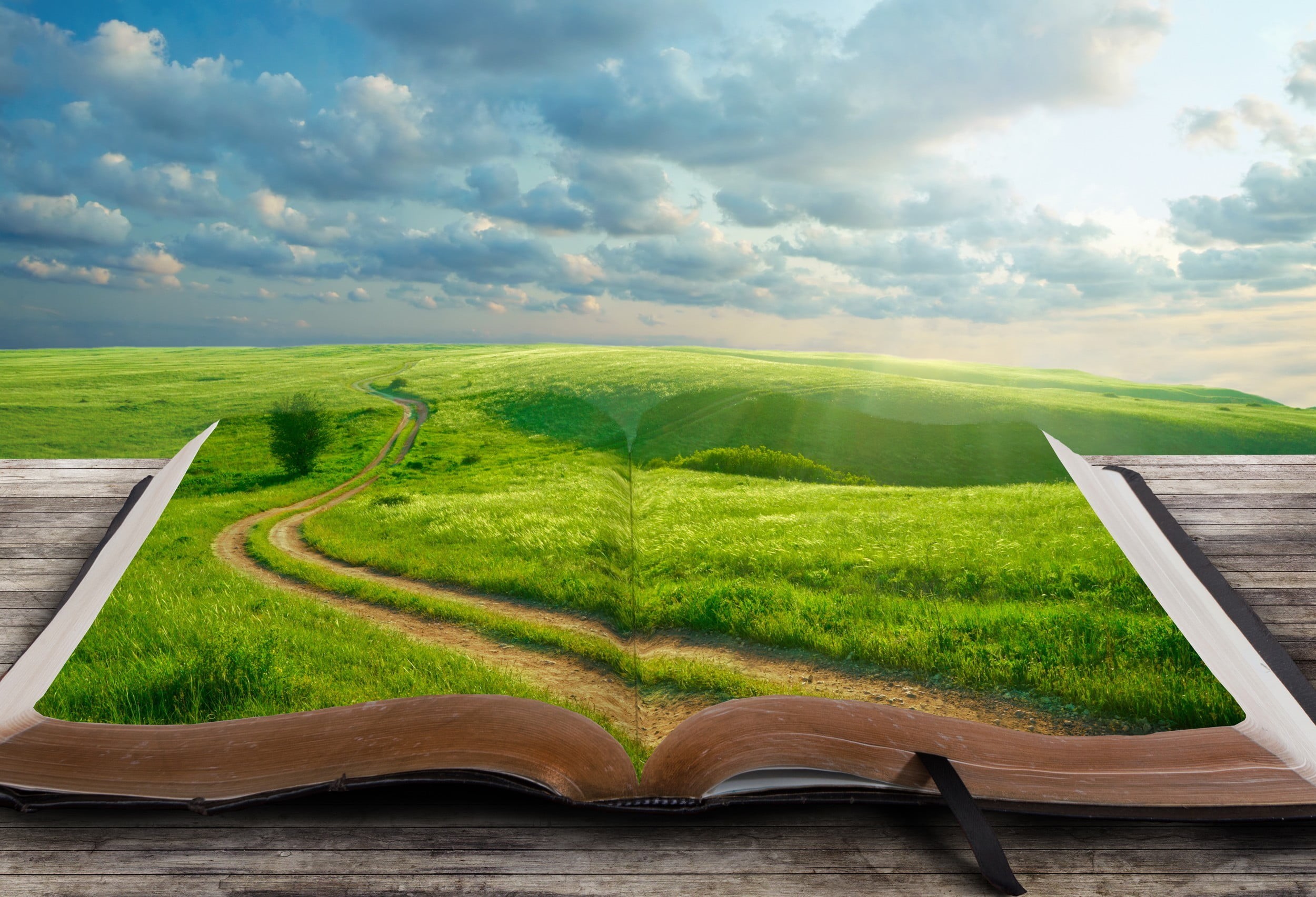 sky, grass, field, land, clouds, non-urban scene, environment, idyllic, outdoors, no people, scenics - nature, tree, growth, day, nature, green color, the world, HD Wallpaper