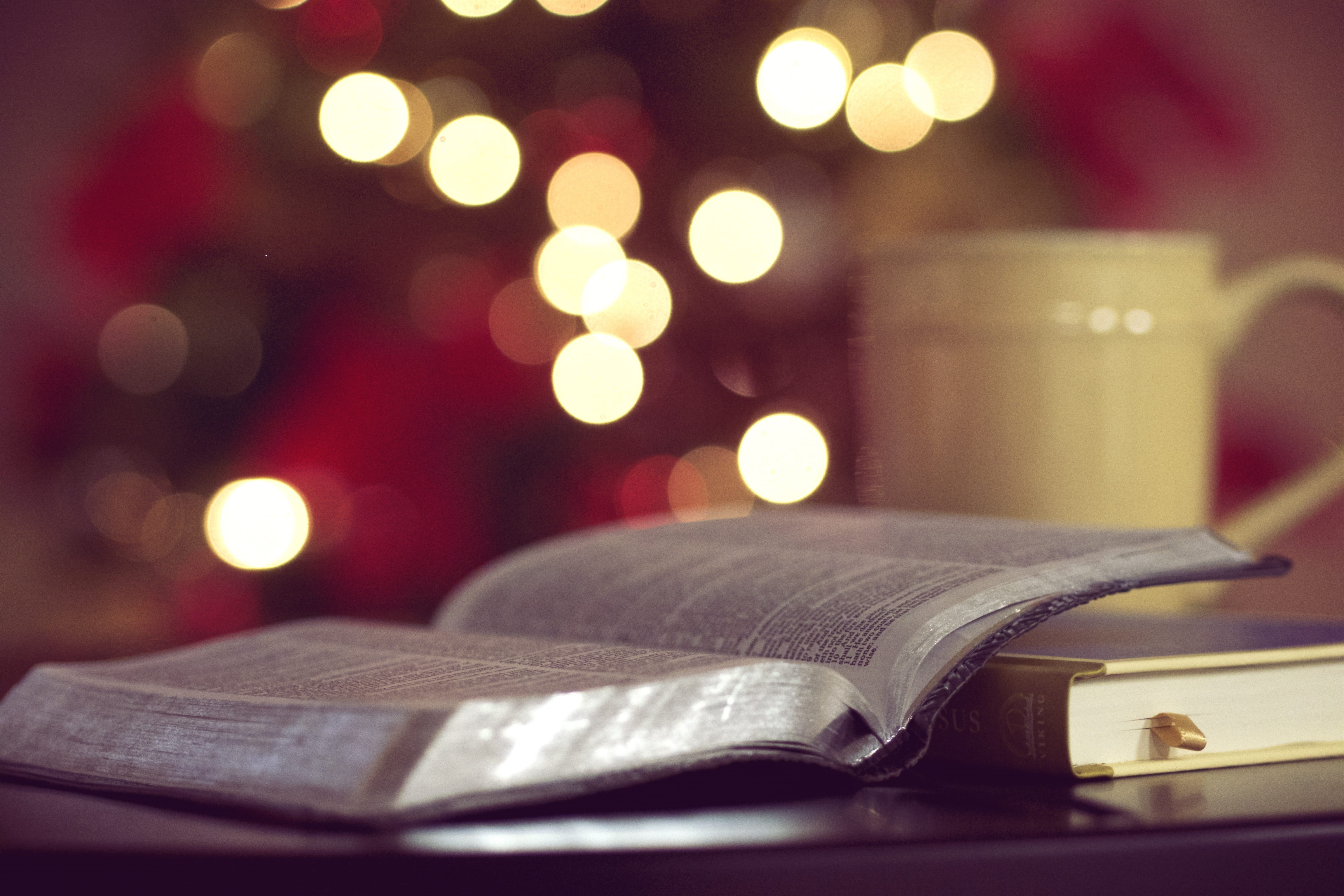 coffee, ceramic, tree, read, no people, illuminated, beside, bokeh, christma, decoration, religion, yellow, reading, close-up, journal, focus on foreground, HD Wallpaper