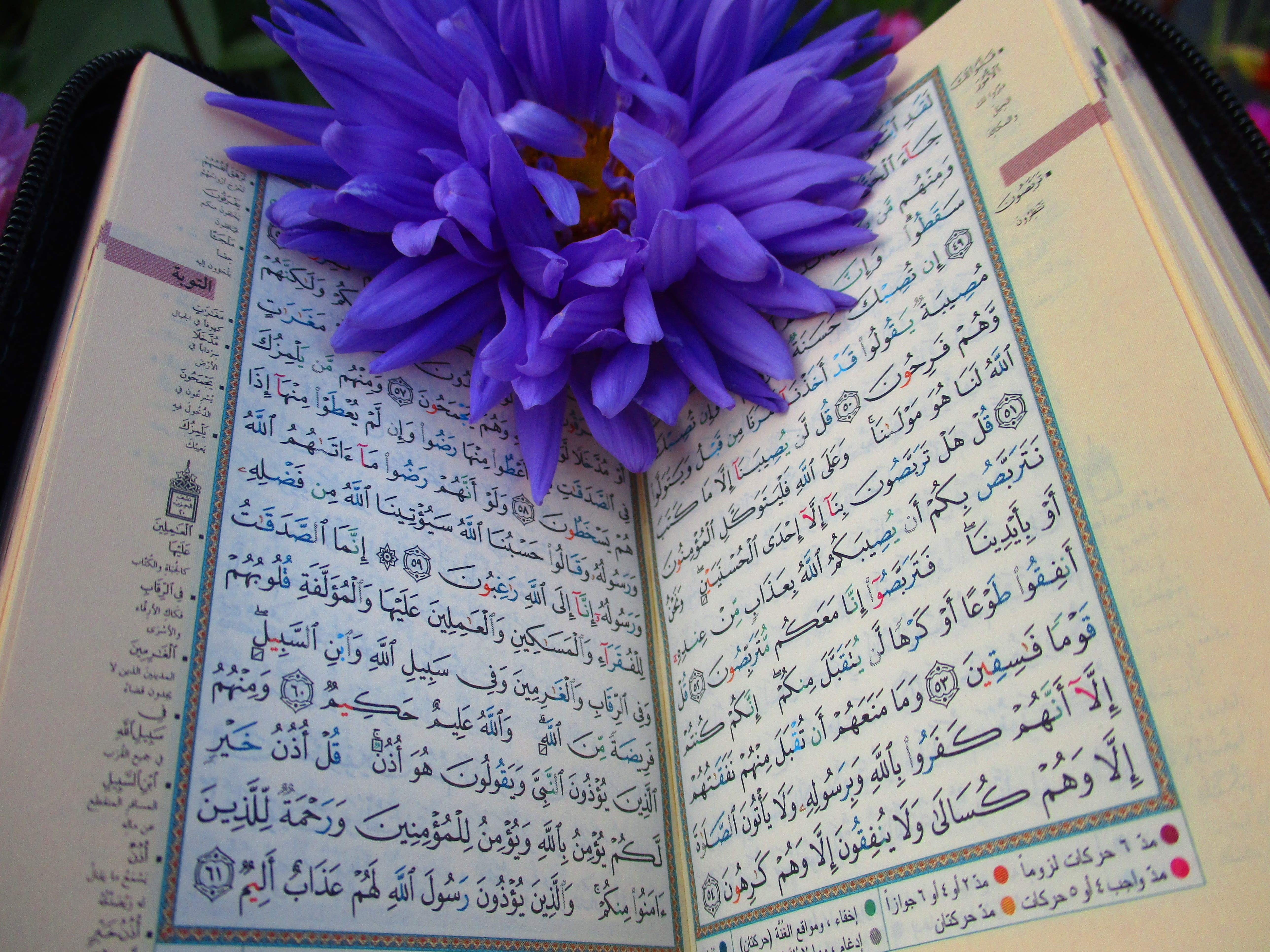 muslims, text, translation, mosque, table, communication, god, petals, textbook, quran, design, publication, muslim, paper, allah, culture, scripture, islam, HD Wallpaper