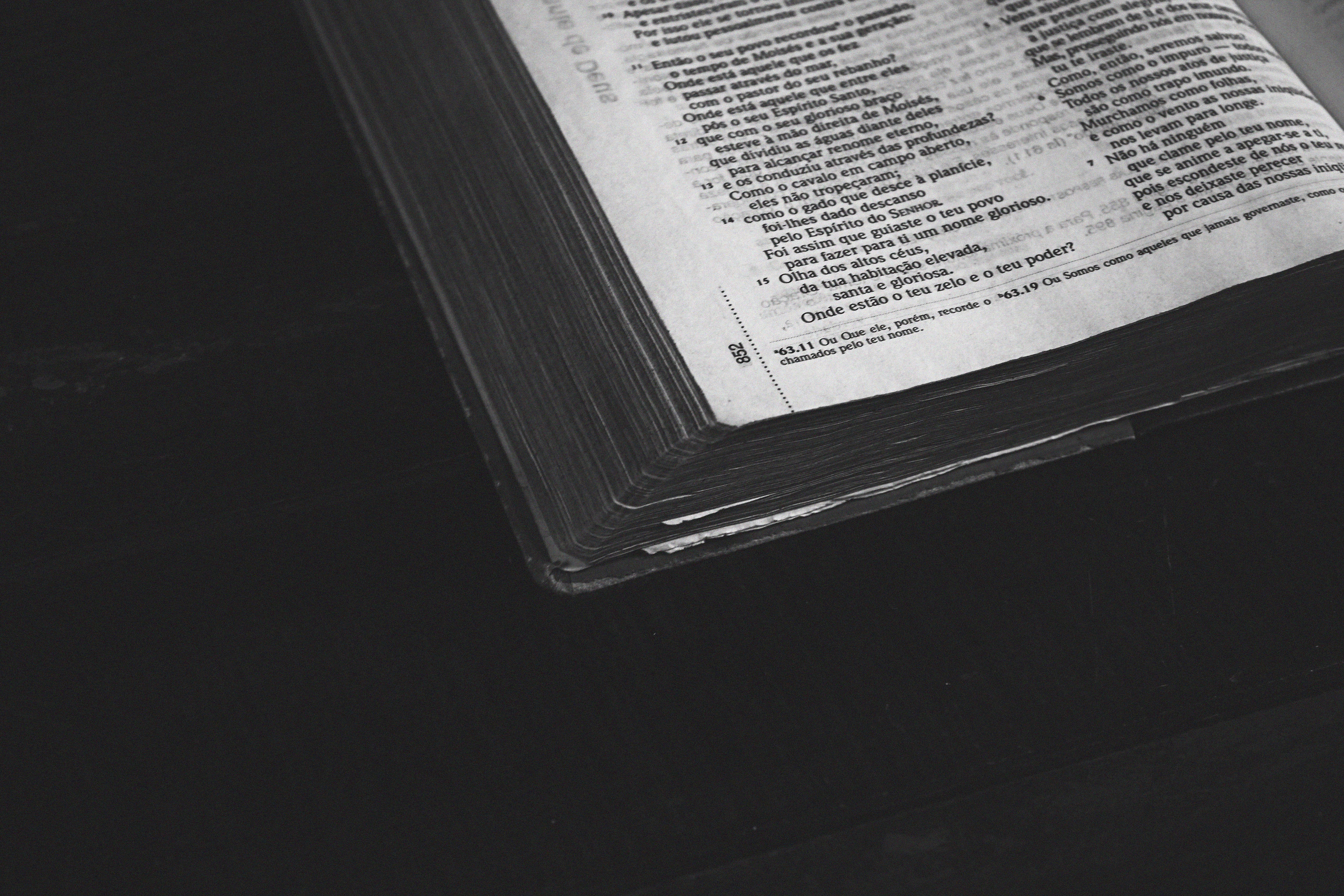 bible, business, still life, science, no people, religious, spirituality, single object, western script, paper, reading, studio shot, religion, black background, HD Wallpaper