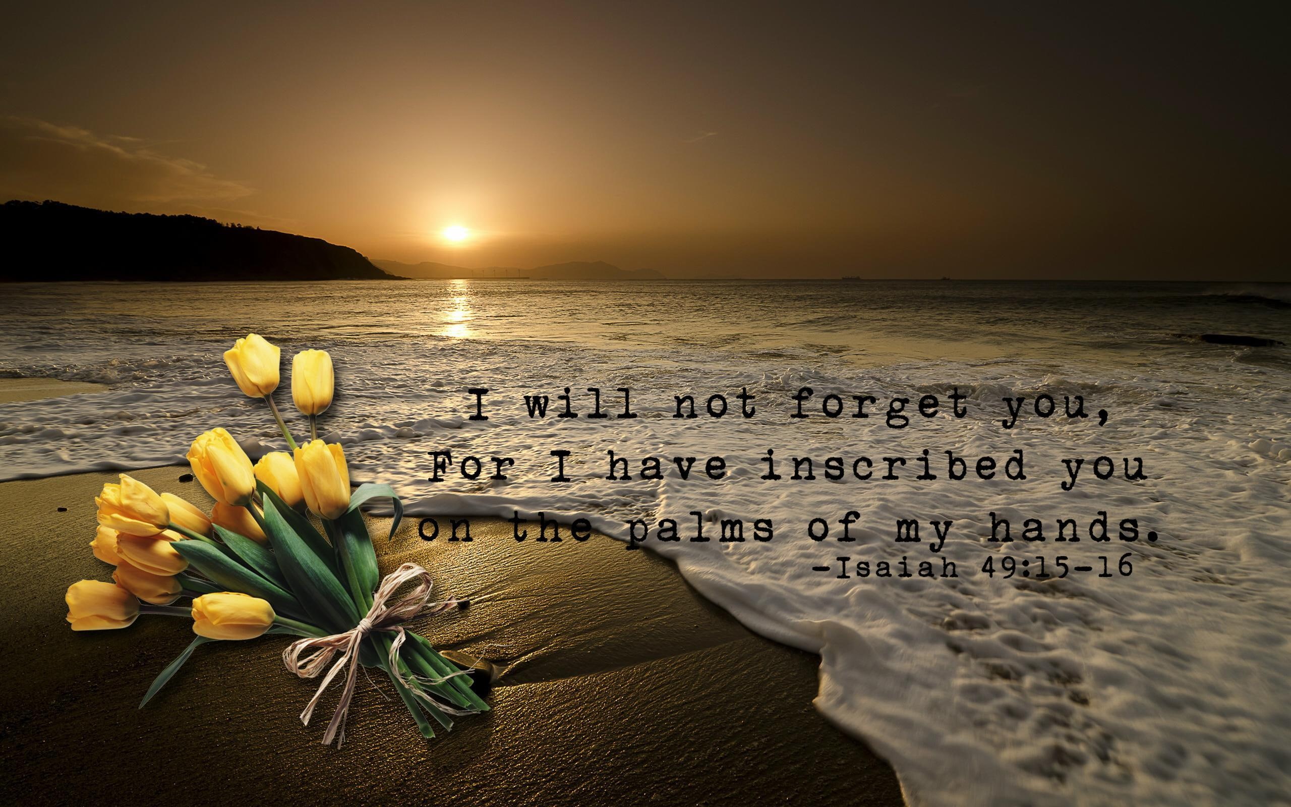 ware, 3d and abstract, forget, 2K, scripture, HD Wallpaper
