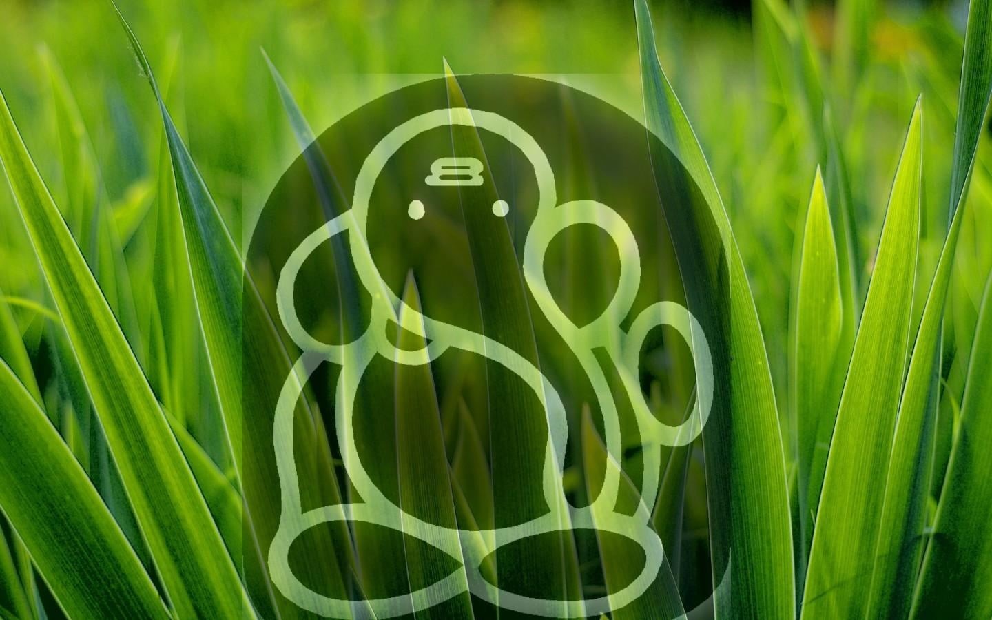 plant, plant part, green color, beauty in nature, lord, shri, focus on foreground, outdoors, nature, grass, backgrounds, 720P, Lord Ganesha, no people, HD Wallpaper