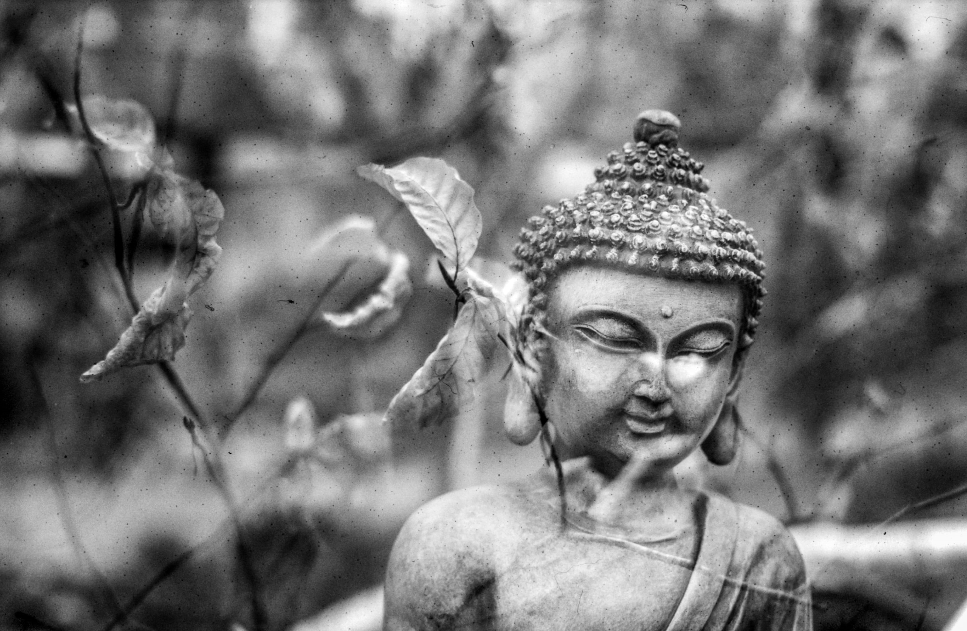 women, outdoors, art and craft, sculpture, people, looking, creativity, plant, meditation, leaf, spiritual, leaves, grayscale, sacred, statue, close-up, HD Wallpaper
