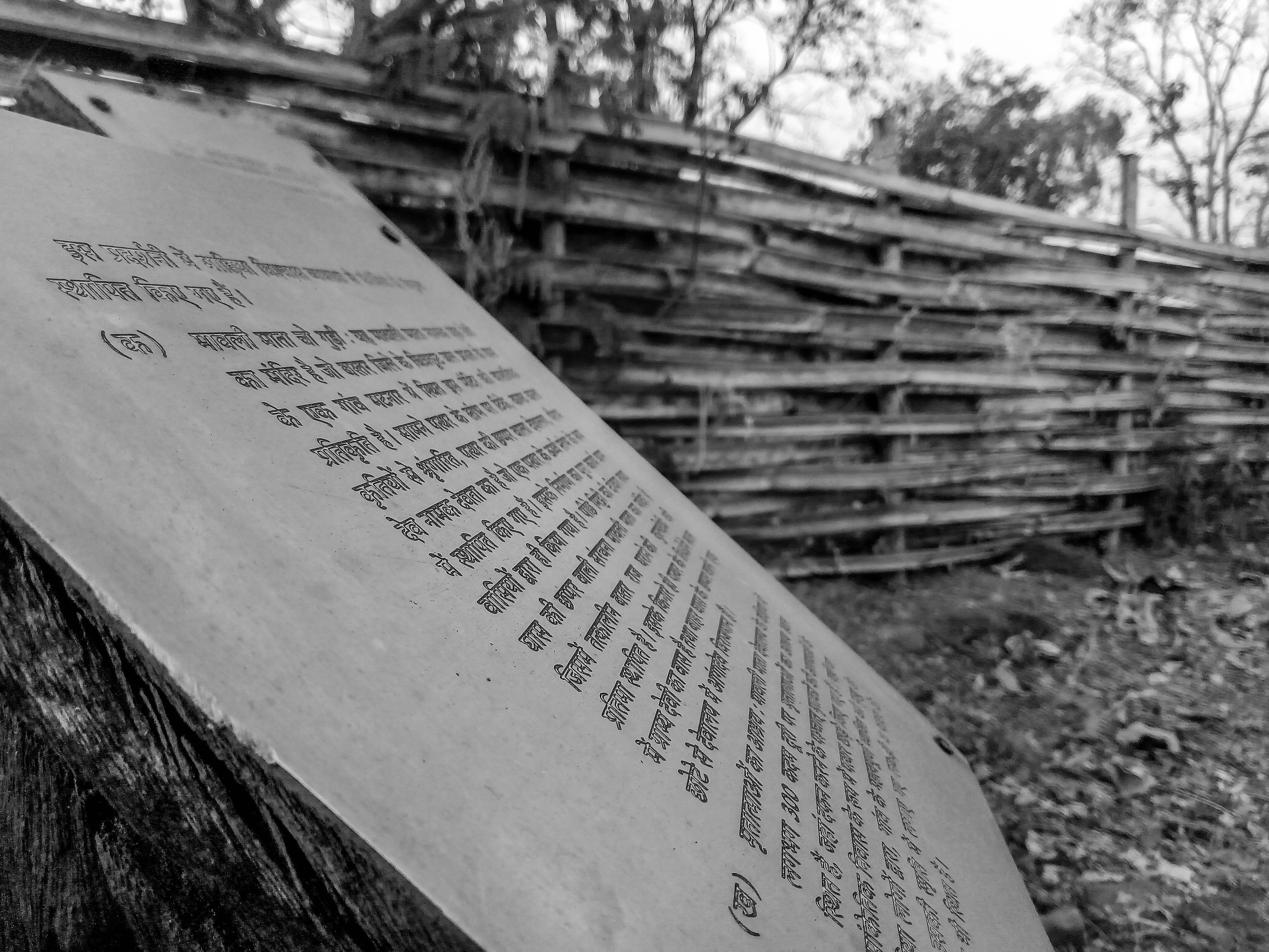 nature, non-western script, photowalks, religion, no people, outdoors, inscription, grass, wood, hindi, forest, selective focus, focus on foreground, script, HD Wallpaper