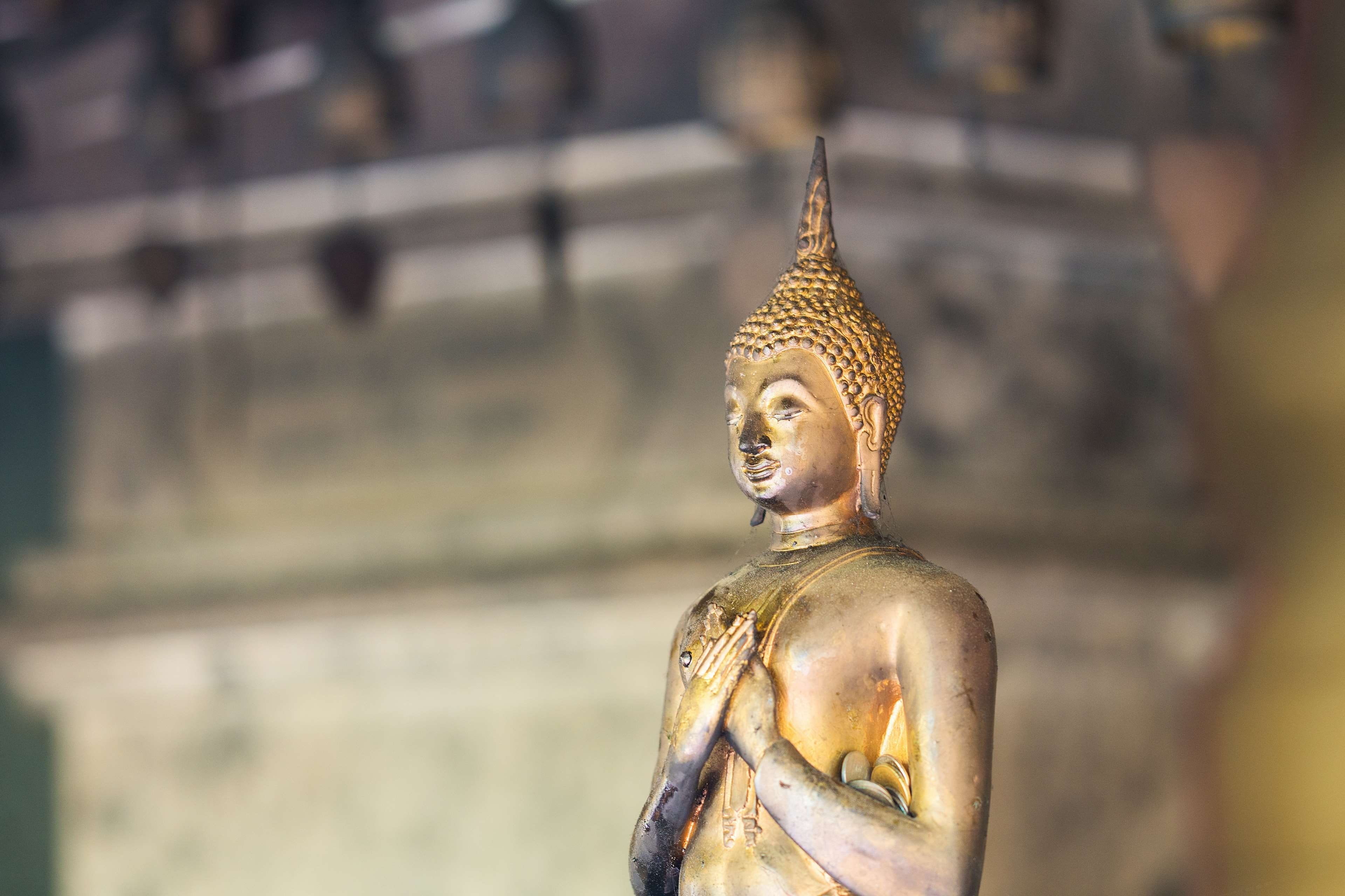 male likeness, oriental, creativity, 4K, built structure, religious, concentration, asia, sculpture, buddha, angel, sto, peaceful, focus on foreground, HD Wallpaper