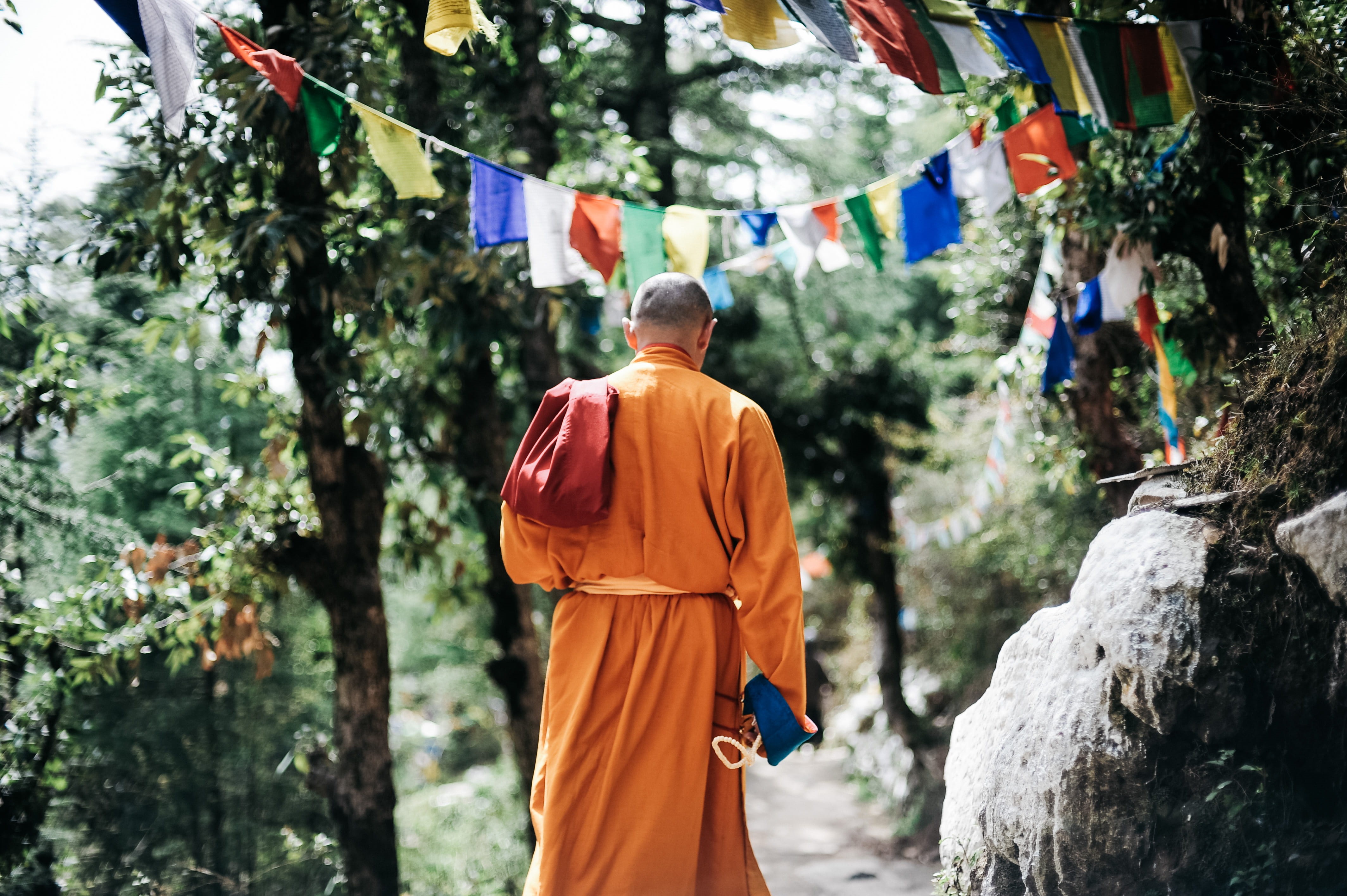buddha, wear, belief, rock, plant, person, lifestyles, day, traditional, ceremony, spiritual, prayer, worship, spirituality, back view, culture, walking, HD Wallpaper