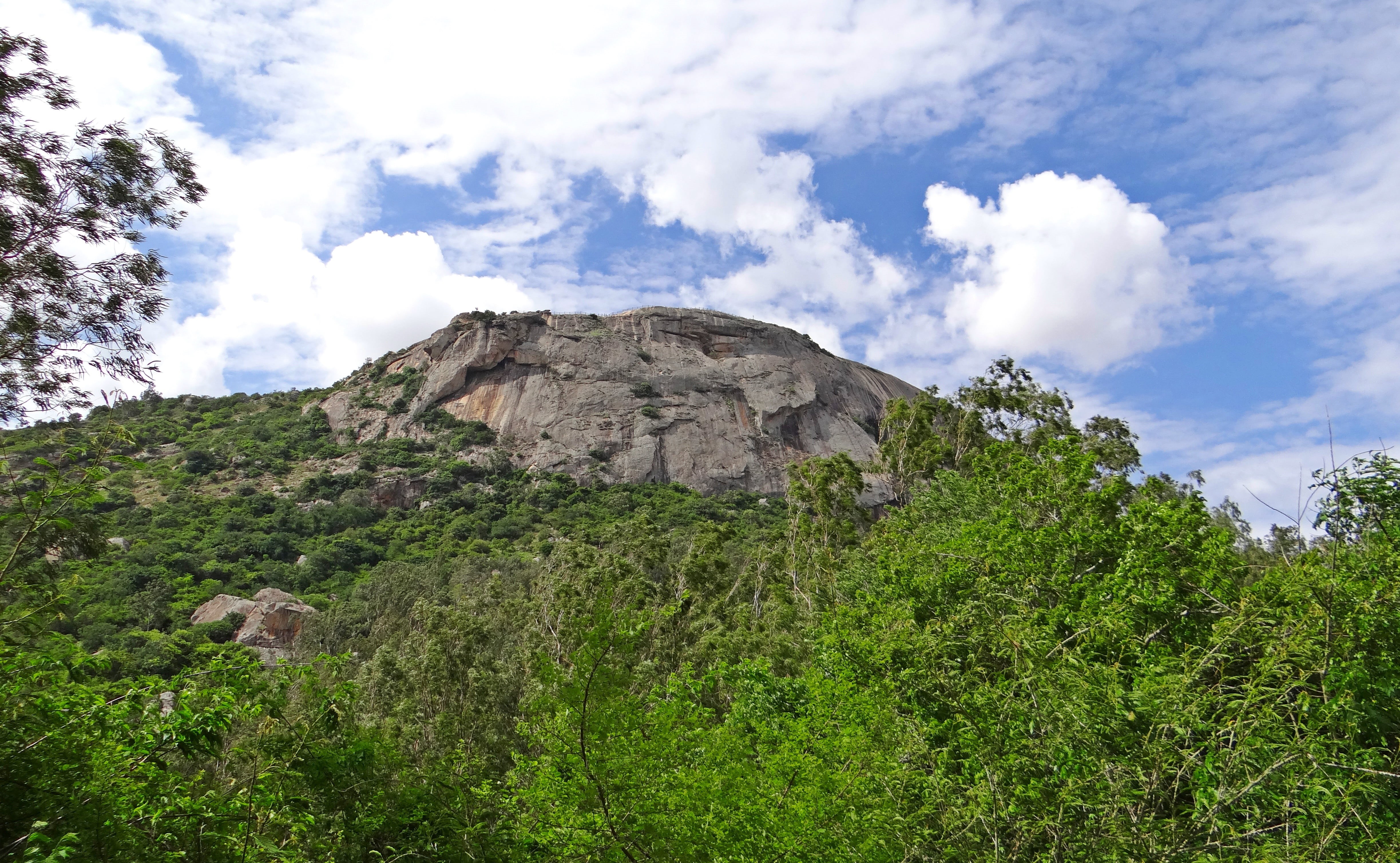 green color, low angle view, outdoors, land, tranquil scene, india, scenics - nature, idyllic, day, mountain, nature, tranquility, nandi hills, cloud - sky, HD Wallpaper