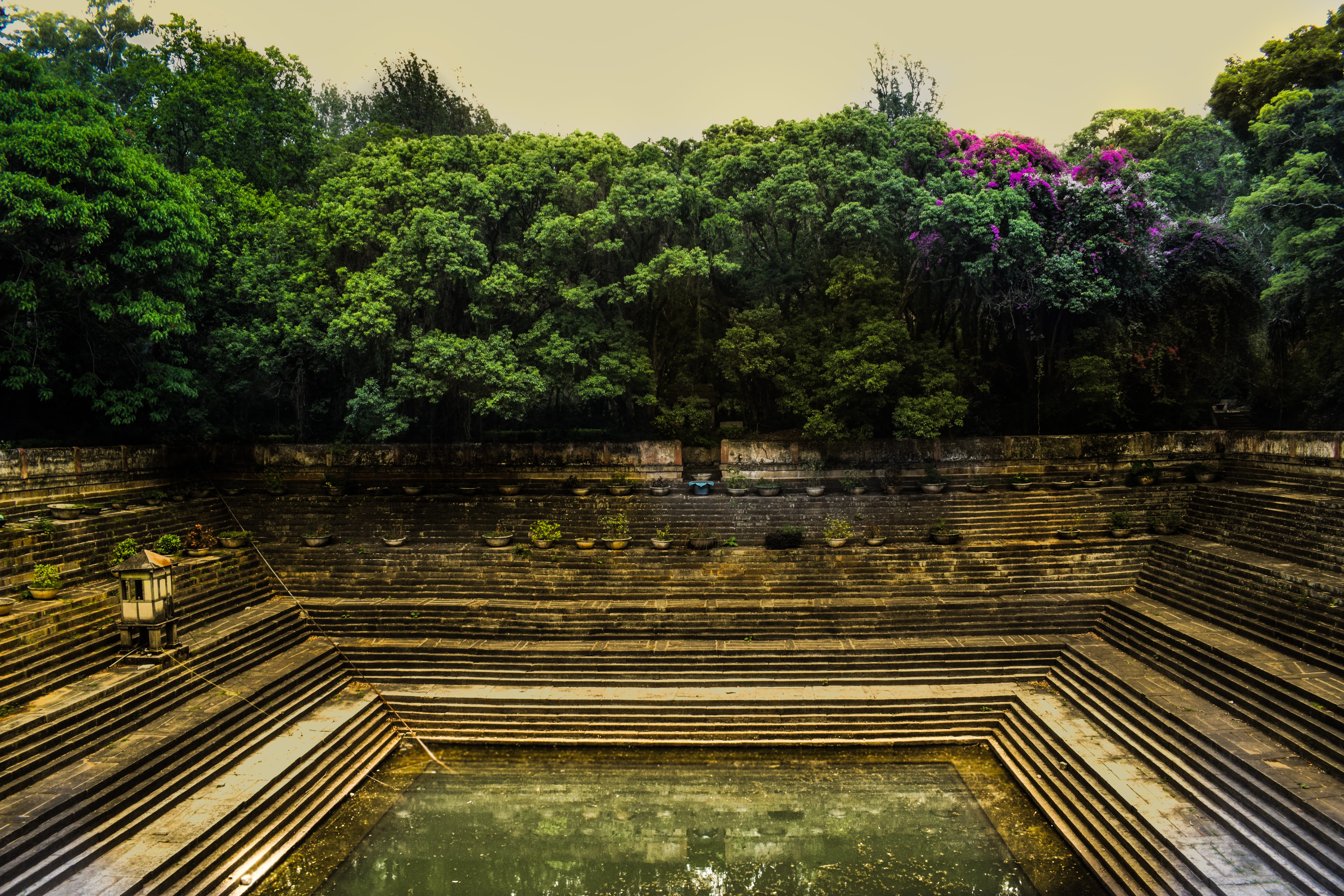 built structure, steps and staircases, sky, trees, nature, day, pond, no people, forest, tranquility, india, vintage, green color, travel, history, tree, HD Wallpaper