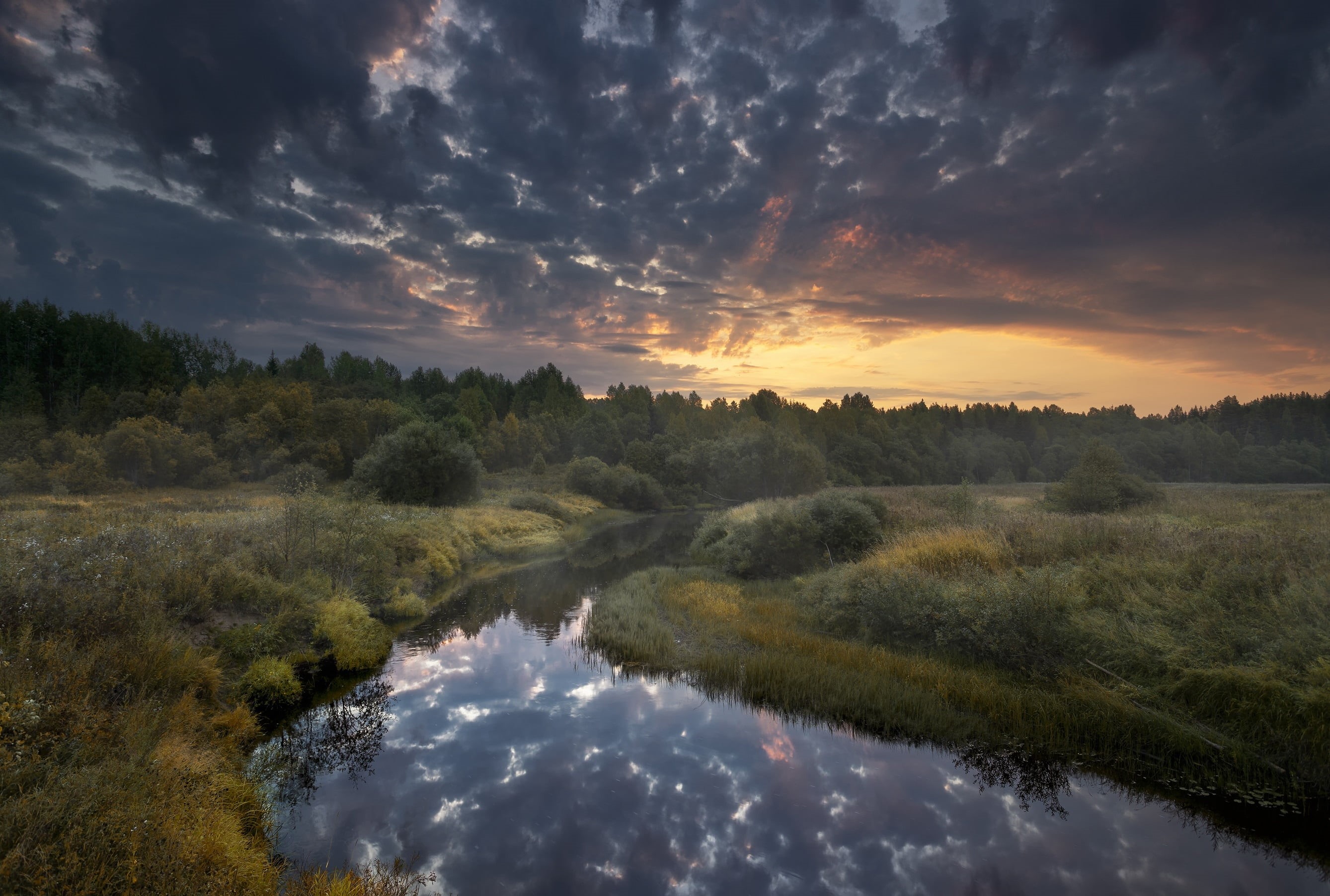 nature, grass, landscape, Bank, autumn, dawn, forest, clouds, river, Arkhangelsk, 2K, morning, Puja, the sky, HD Wallpaper