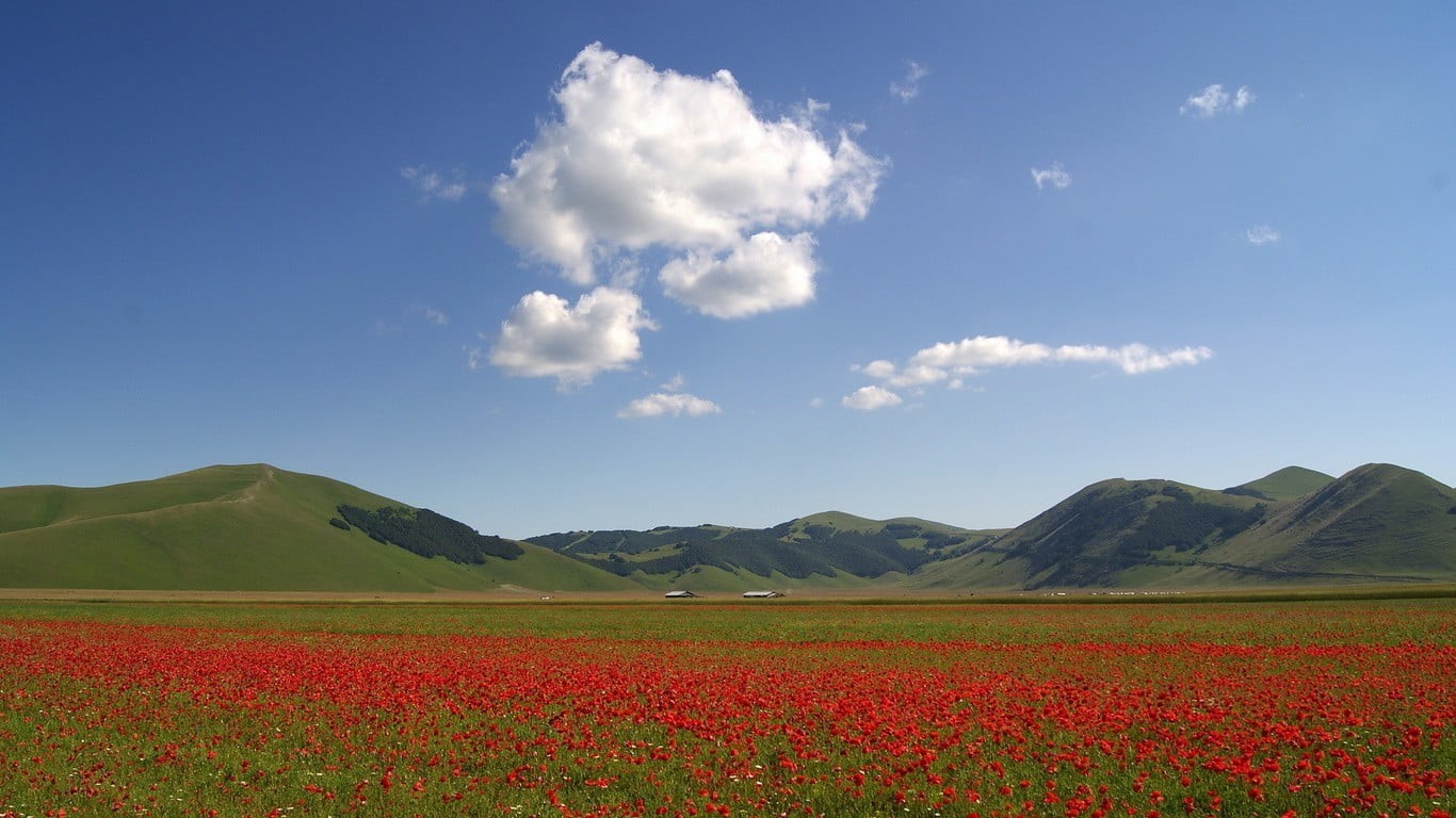 outdoors, mountain range, scenics - nature, freshness, landscape, beauty in nature, poppies, nature, field, cloud - sky, 720P, no people, flowerbed, non-urban scene, HD Wallpaper
