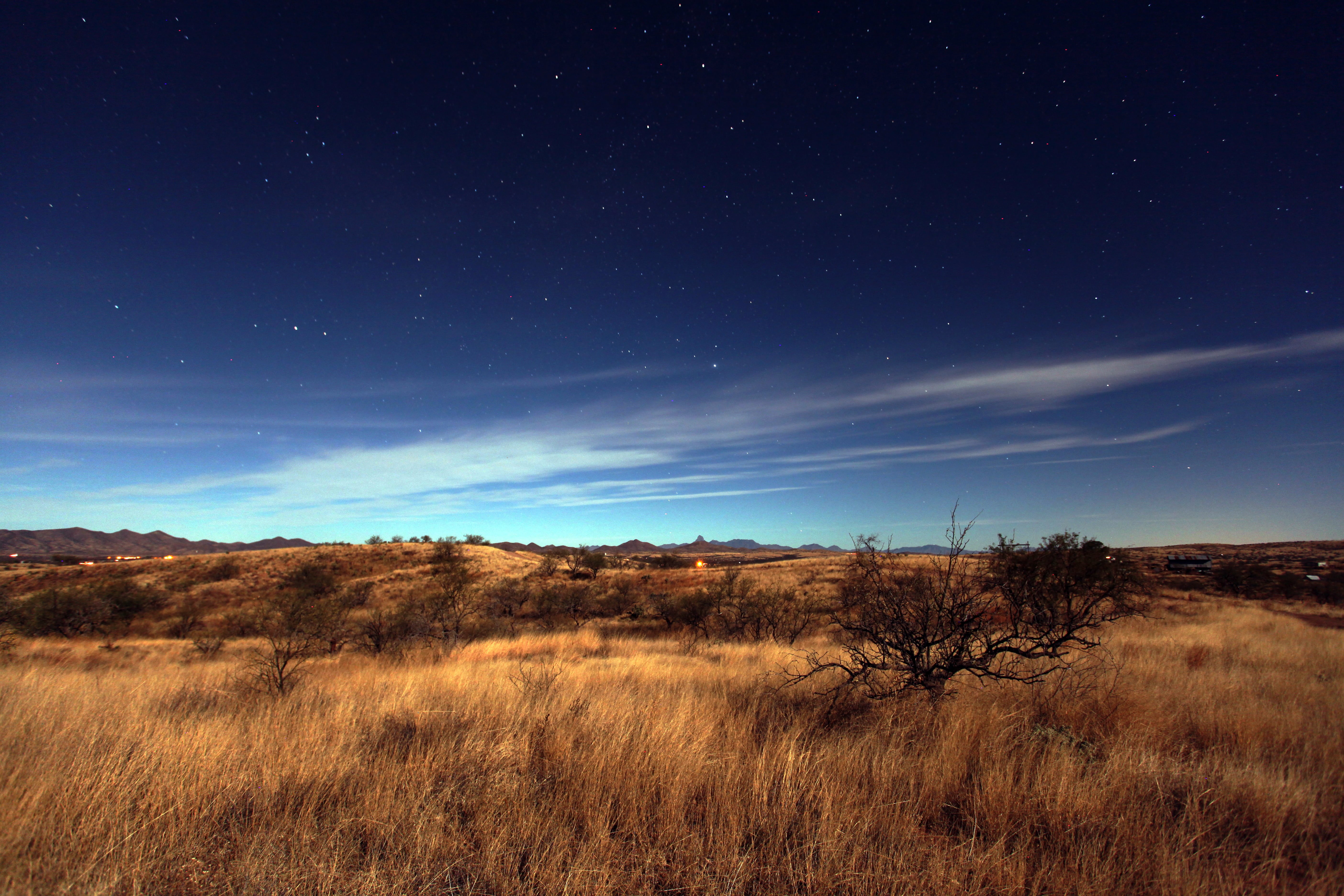 night, blue, field, star - Space, brown, landscape, scenics, nature, 5K, sonoran, grass, sky, desert, white, HD Wallpaper
