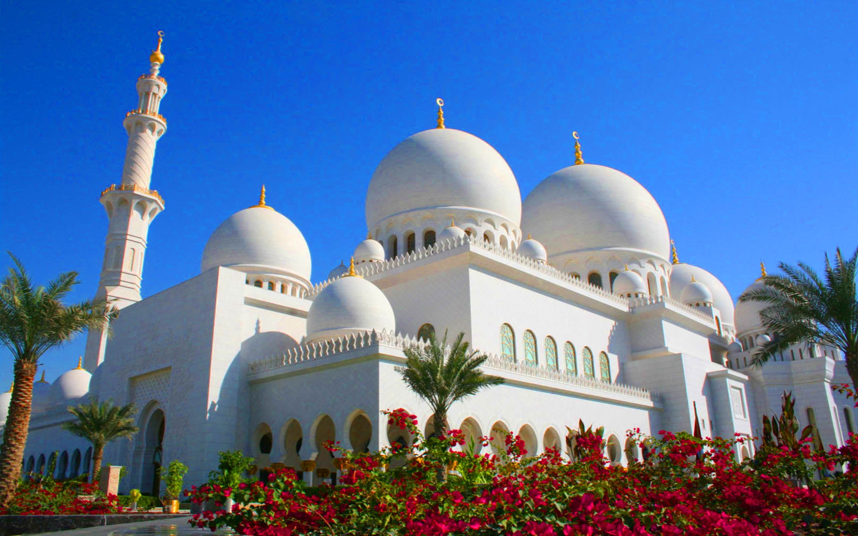 low angle view, travel destinations, sky, belief, flowering plant, building, 2K, abu, emirates, zayed, religion, clear sky, united, spirituality, HD Wallpaper