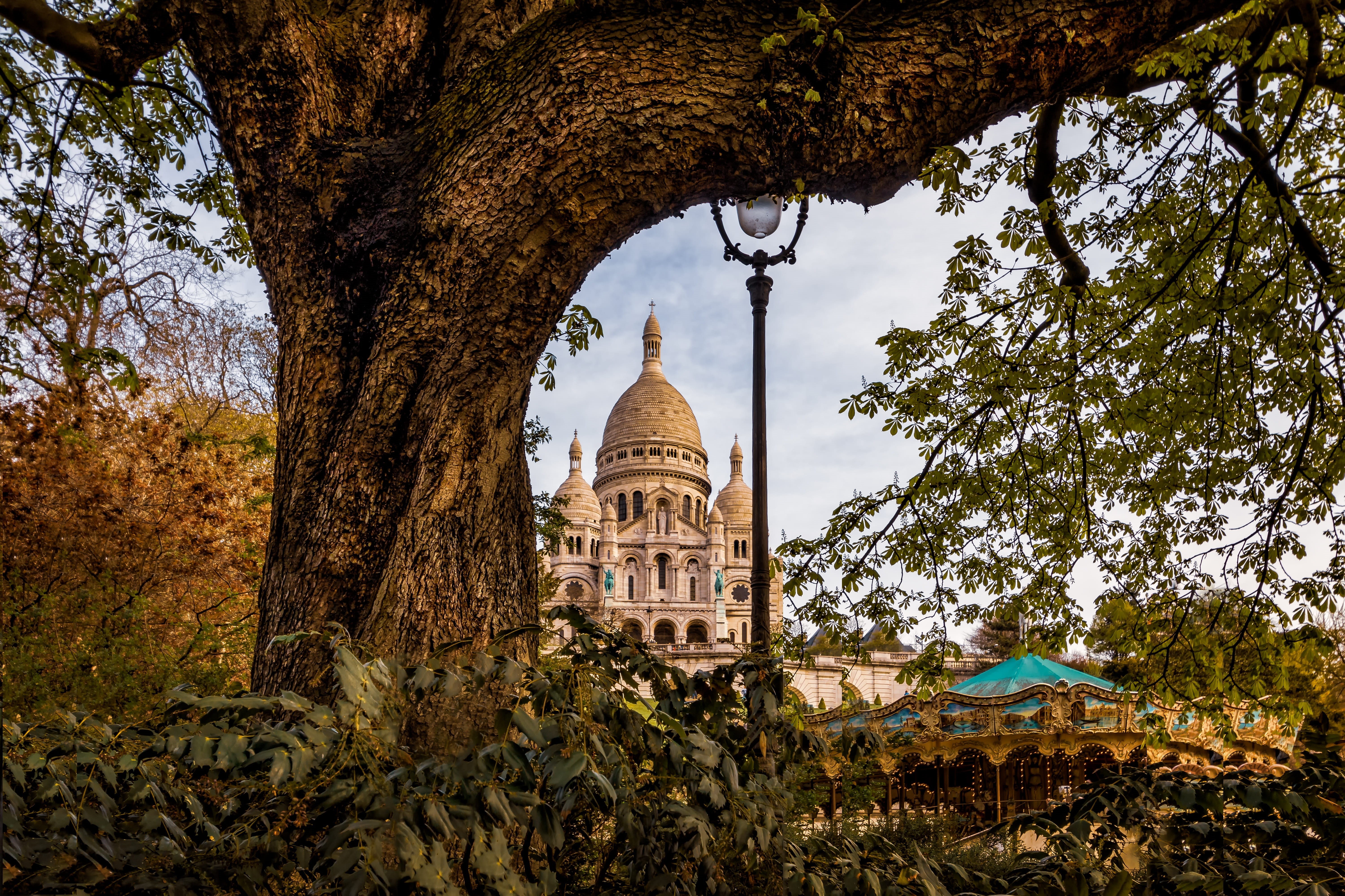 branch, building exterior, trunk, 5K, paris, outdoors, building, place of worship, religion, spirituality, day, history, sacred heart, tree trunk, dome, HD Wallpaper