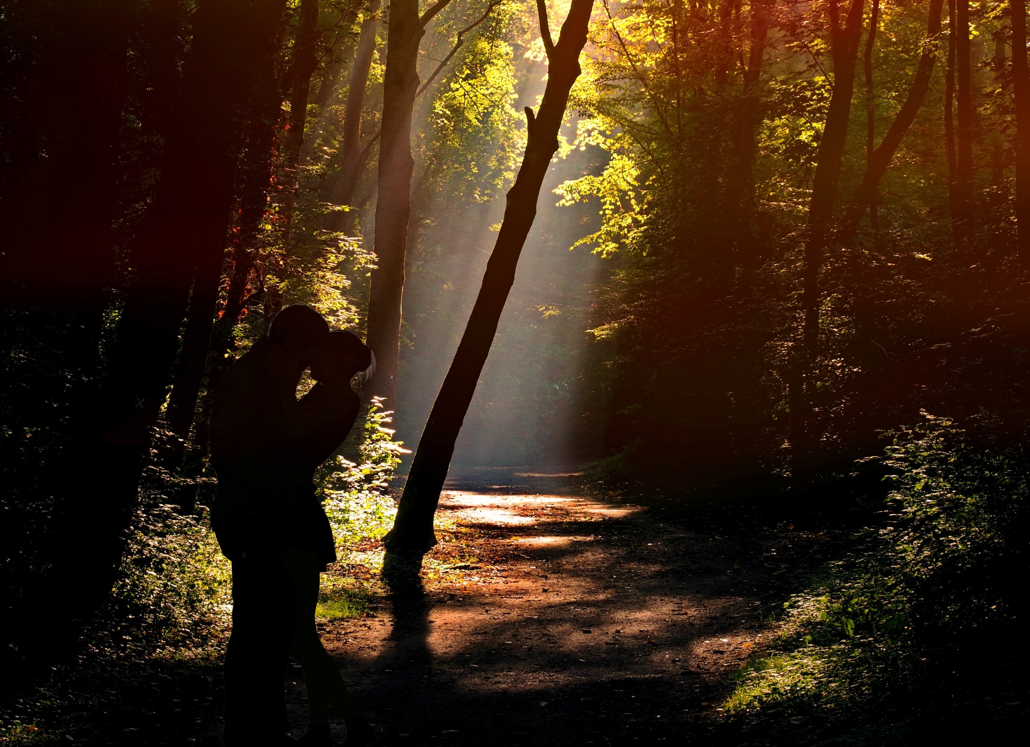 man, tree, affection, sunbeam, human, woman, pair, together, lifestyles, incidence of light, people, happy, autumn, figure, day, silhouette, lovers, romance, HD Wallpaper
