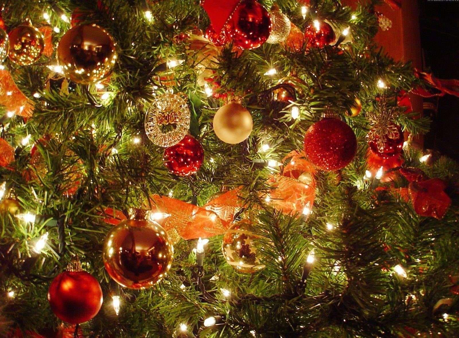 indoors, color Image, illuminated, holiday, hanging, season, holiday - event, full frame, close-up, decor, ornate, no People, branch, christmas decorations, HD Wallpaper