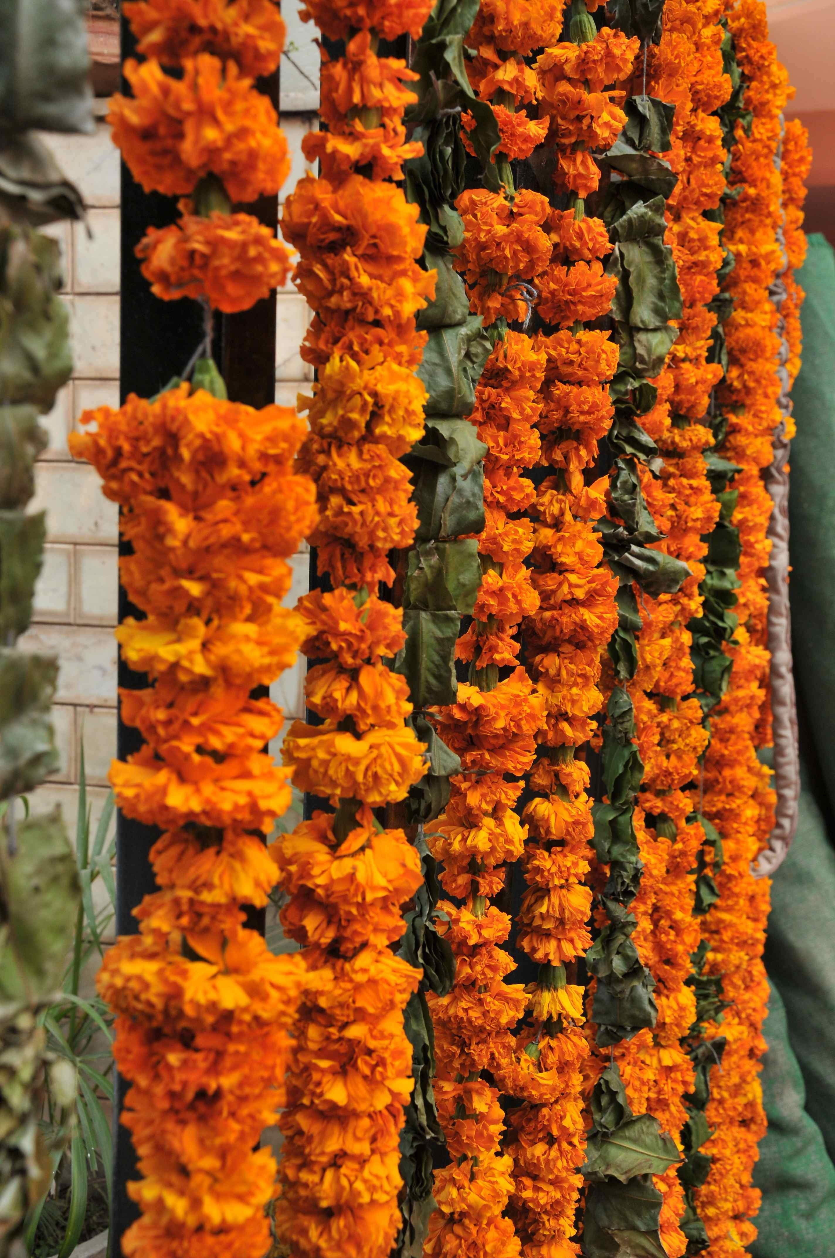 nature, belief, day, 4K, decorative, fragility, hanged, flowers, outdoors, in a row, wall, beauty in nature, no people, orange, decorations, flower head, Phone HD Wallpaper