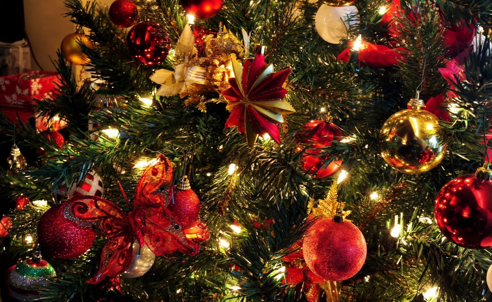 1080P, garland, tree, indoors, red, decoration, celebration event, decor, christmas Tree, backgrounds, bright, season, color Image, sphere, bauble, event, HD Wallpaper
