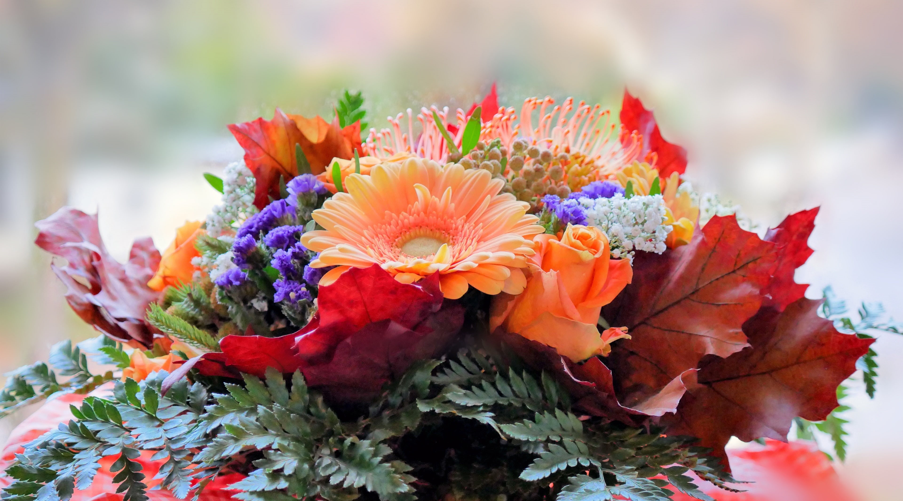 k, beauty in nature, outdoors, bouquet, no people, leaf, bunch of flowers, fomef, plant part, fragility, Flowers, floral garland, flowering plant, close-up, HD Wallpaper