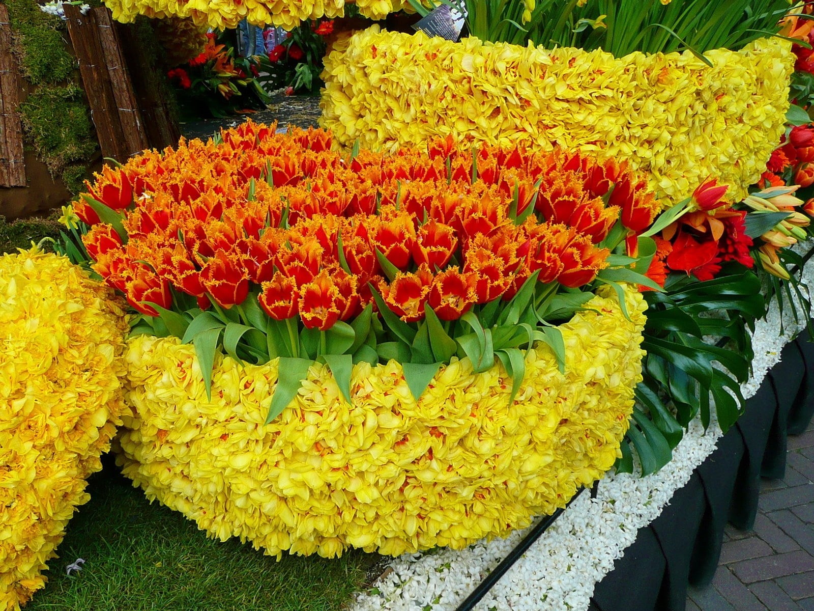 multi Colored, flower arrangement, leaf, abundance, orange, colorful, plant, 720P, springtime, season, blossom, flowerbed, no people, red, gardening, backgrounds, HD Wallpaper