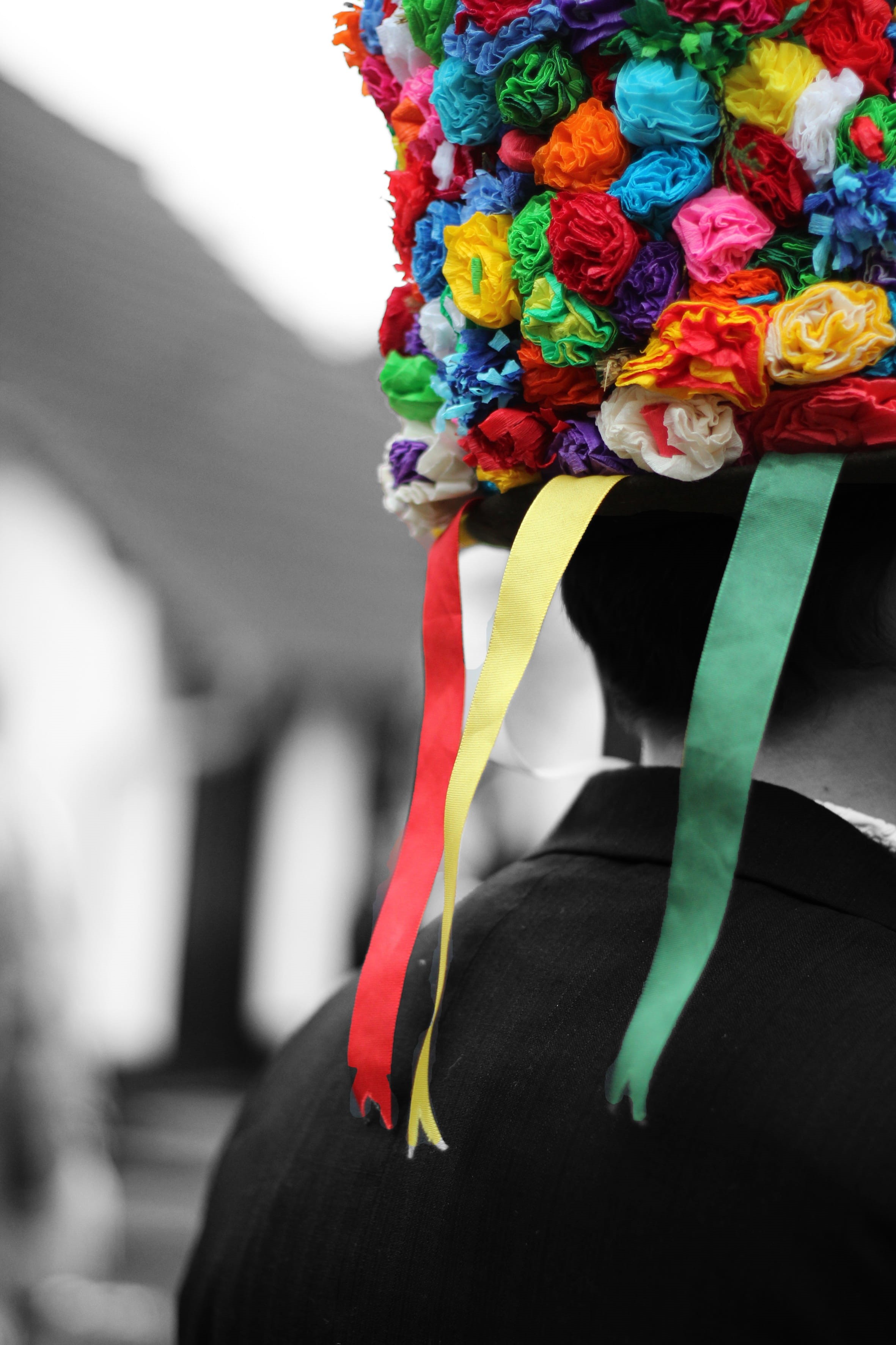 ružičky, leisure activity, 2K, adult, flowers, white, blue, multi Colored, blade, unrecognizable person, lights, cultures, flowering plant, traditional dancing, Phone HD Wallpaper