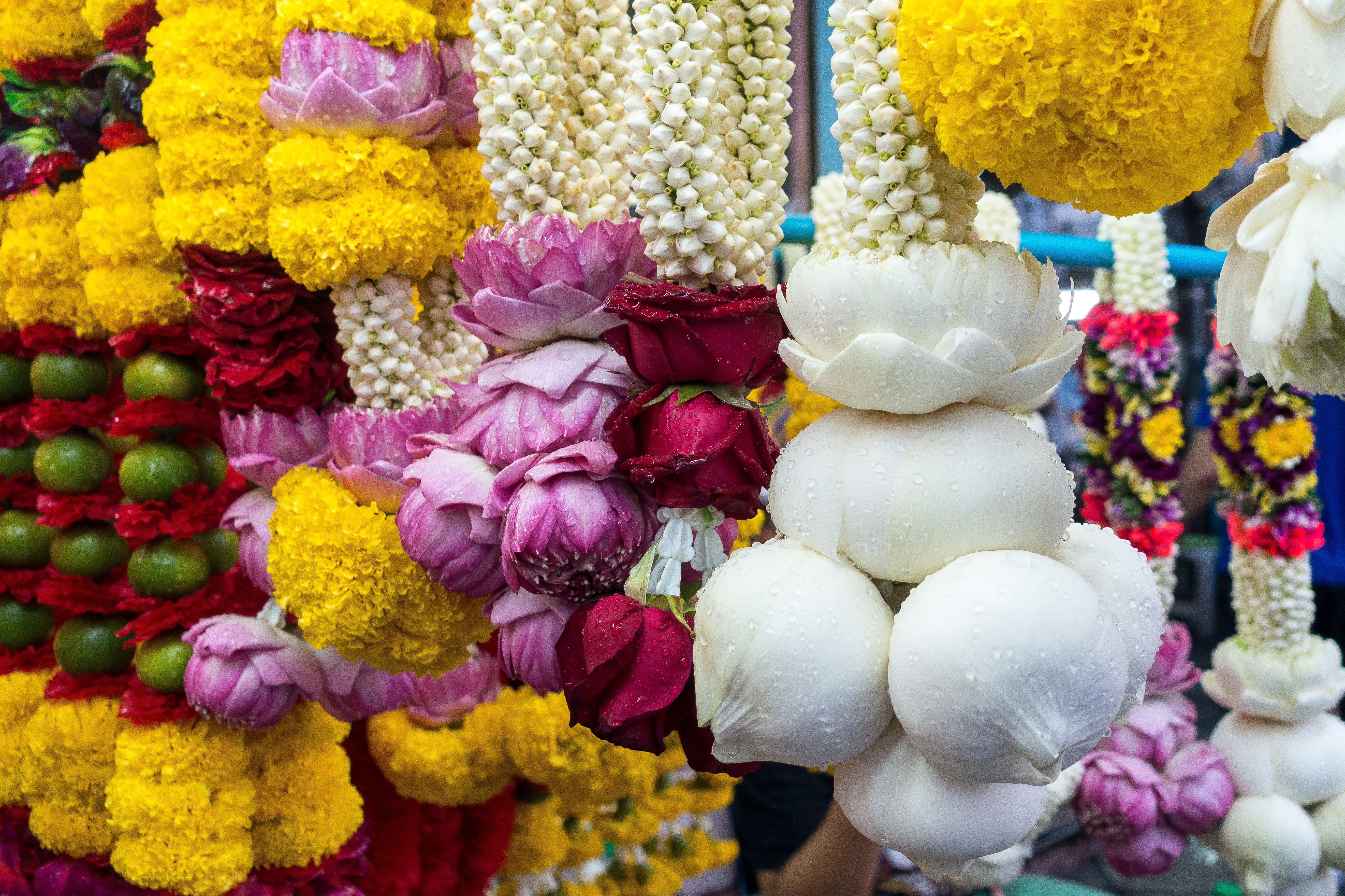 retail, water, food, plant, flower bouquet, arrangement, 5K, floral garland, creme, beauty in nature, cream, ice cream, vulnerability, temple, nature, HD Wallpaper