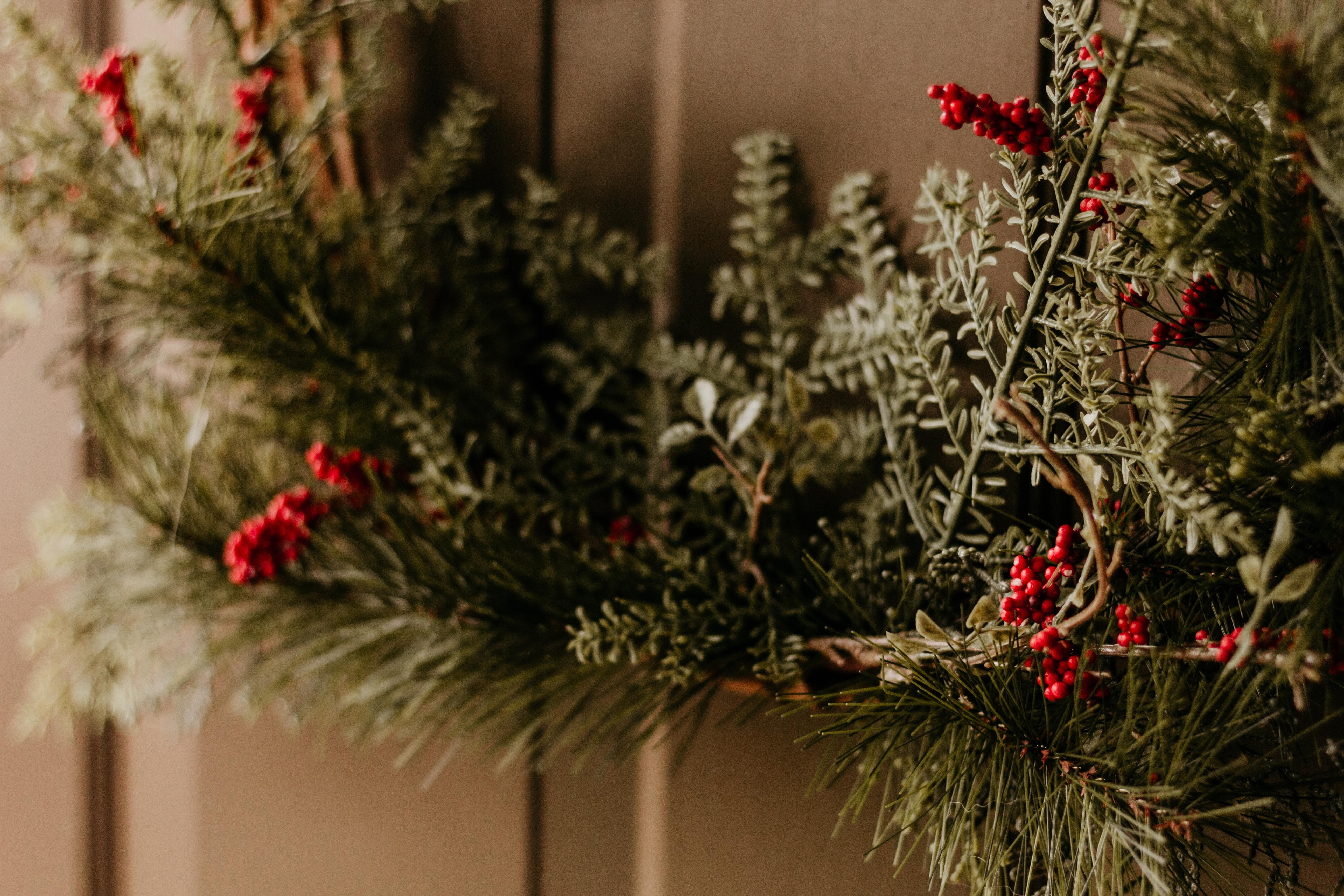 door, graphics, close-up, art, indoors, no people, rose, pattern, blossom, floral design, christmas tree, home decor, holiday - event, event, flower, christmas, HD Wallpaper