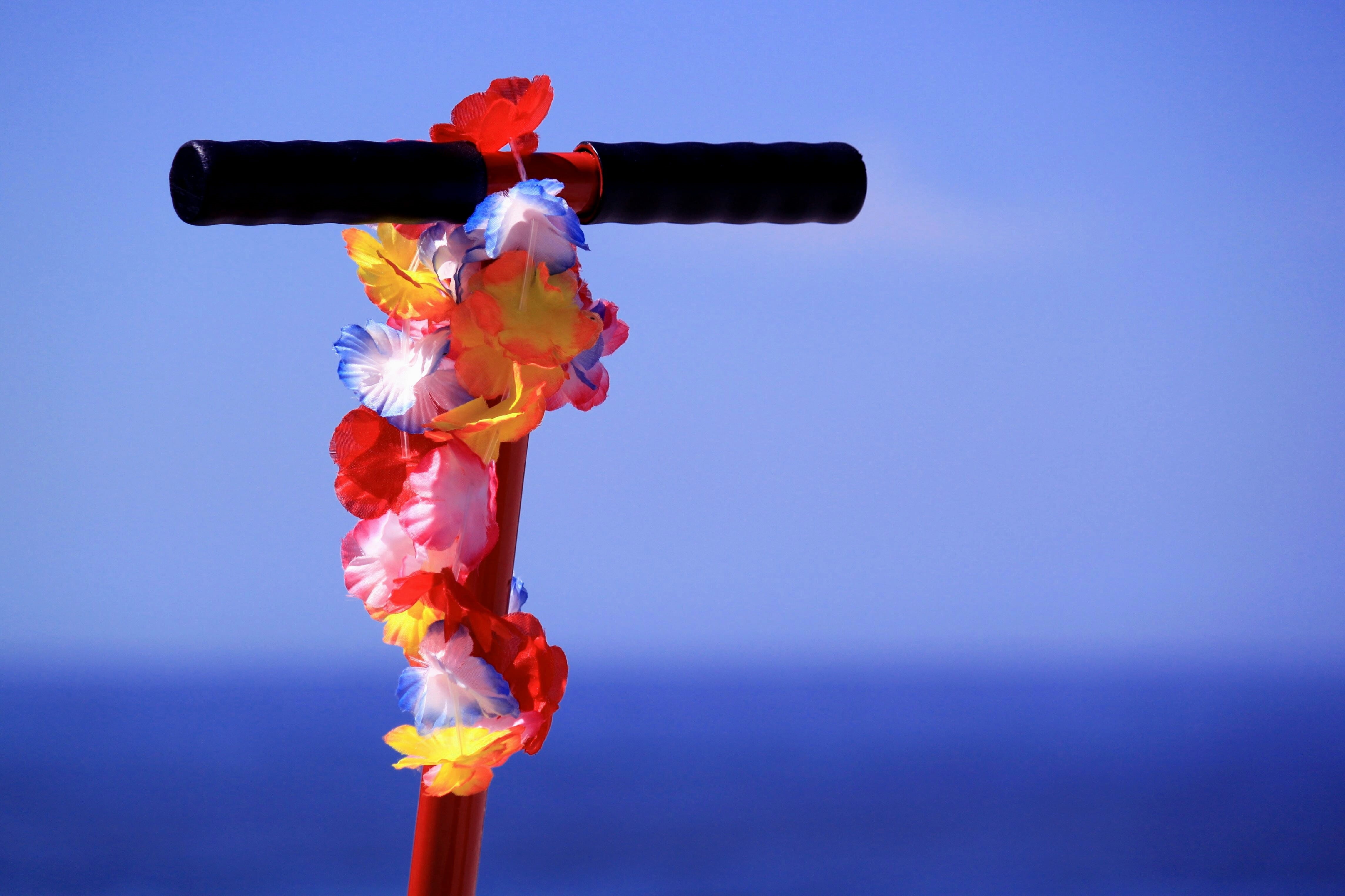 art flower, red, toy, multi colored, color, water, decorative, war, studio shot, beach, Flowers, flower, Flower Garland, no people, hawaii, Floral, clear sky, HD Wallpaper