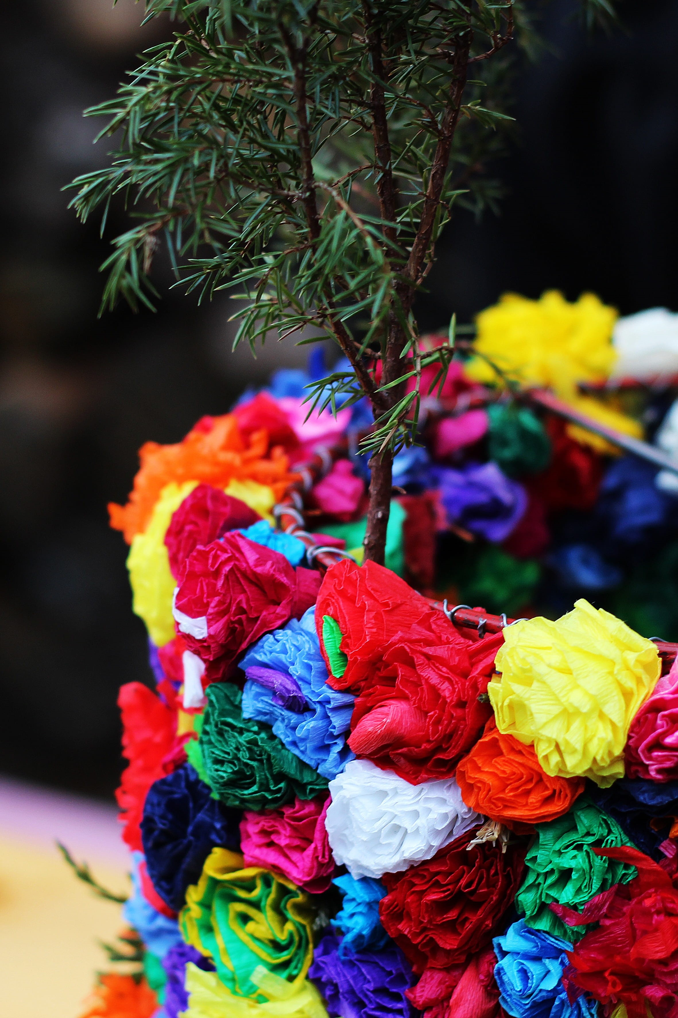 creativity, flowering plant, art and craft, wool, selective focus, ružičky, bouquet, floral pattern, macro, 2K, lights, red, white, mask, focus on foreground, Phone HD Wallpaper