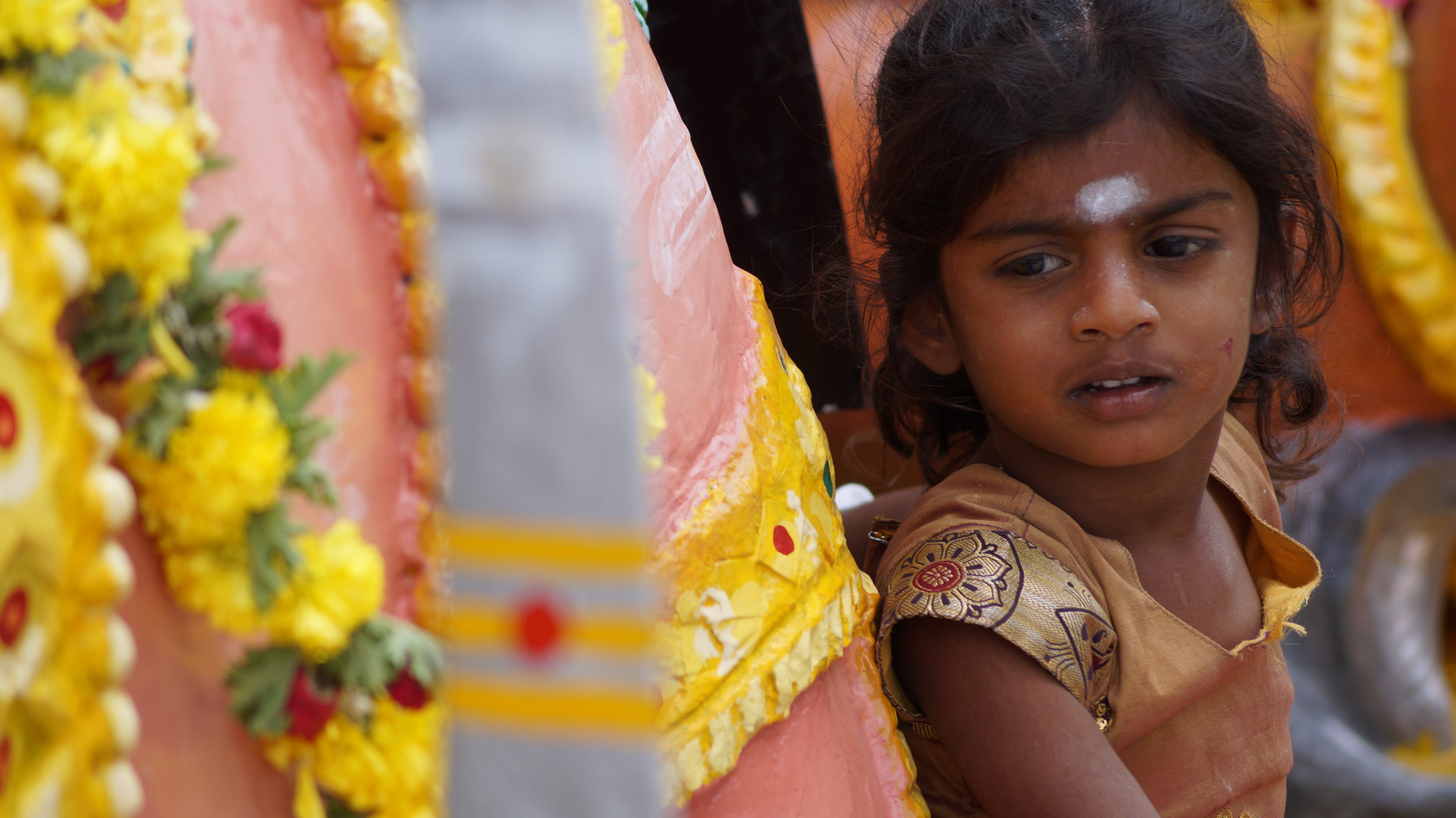 focus on foreground, floral garland, close-up, photography, hairstyle, black hair, traditional clothing, 5K, child, females, forest, reflection, india, HD Wallpaper
