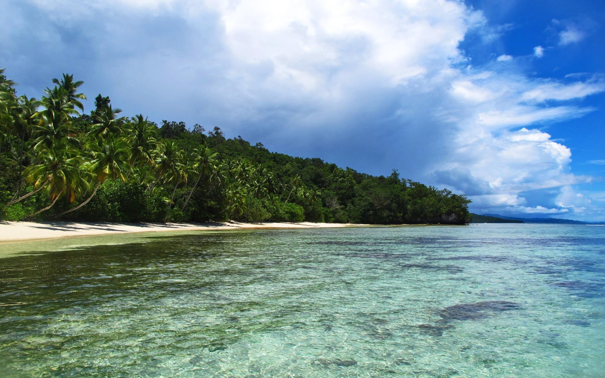 raja, original, 2K, beach, ampat, islands, HD Wallpaper