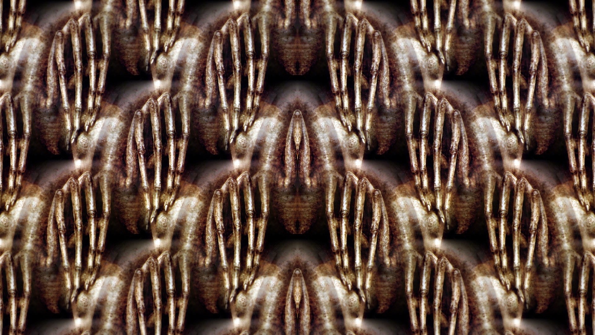 H. R. Giger, abstract, sea life, underwater, pattern, invertebrate, animal wildlife, undersea, backgrounds, animals in the wild, close-up, sea, 1080P, HD Wallpaper