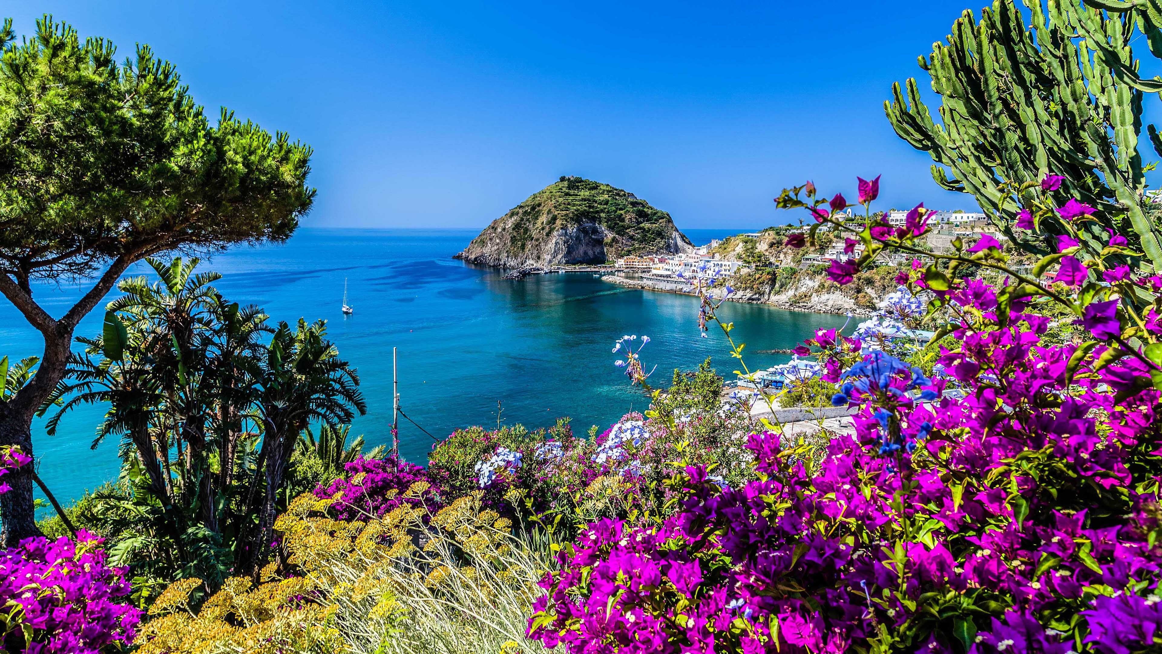 south, maronti, kartamana, tranquility, purple, ischia, bay, aragonese, blue, outdoors, plant, middle, tree, land, clear sky, flower, freshness, thermal, HD Wallpaper