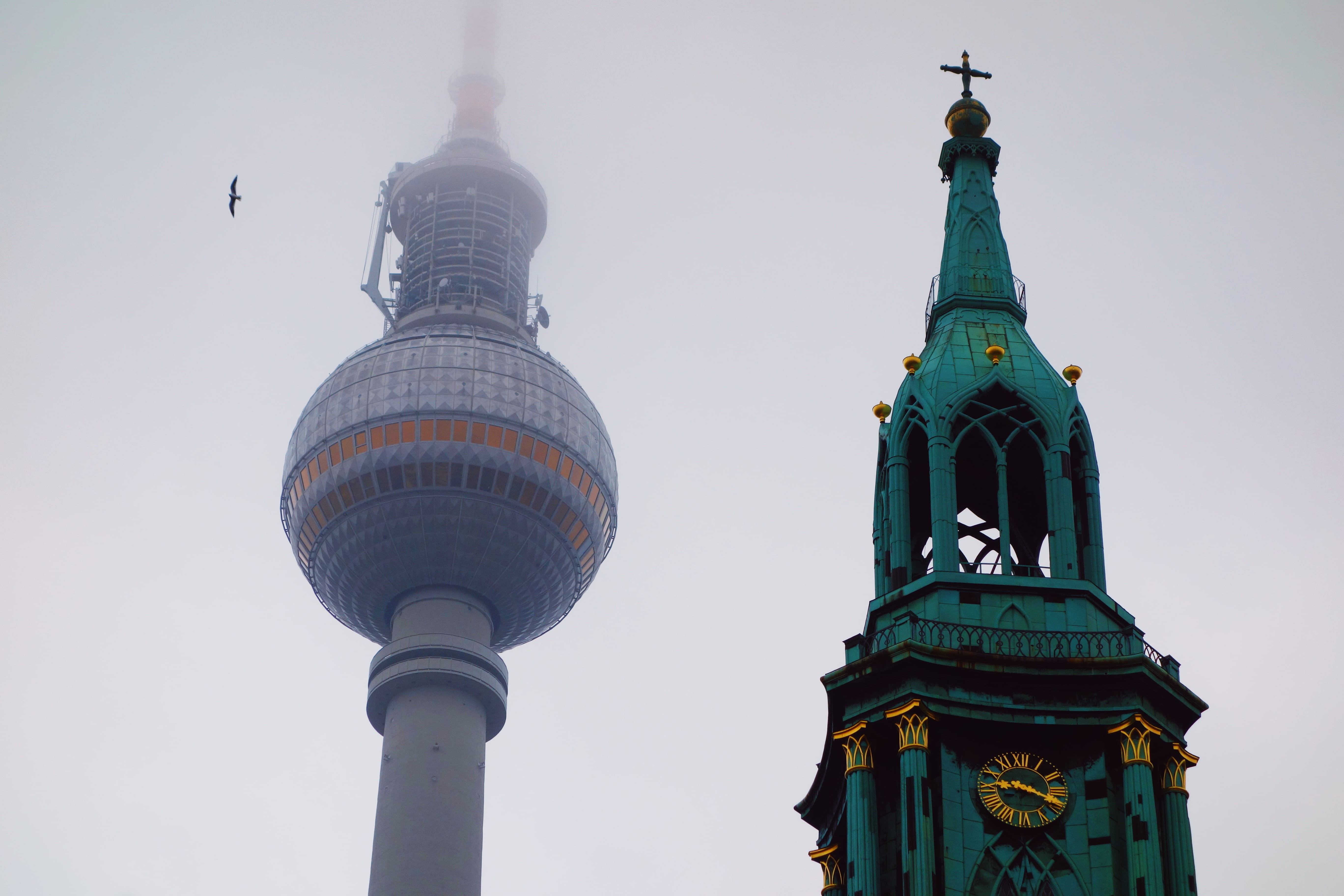 fly, germany, bird, skyscraper, spire, no people, tall - high, tourism, nature, sky, belief, 5K, spirituality, building exterior, urban, travel, view, HD Wallpaper