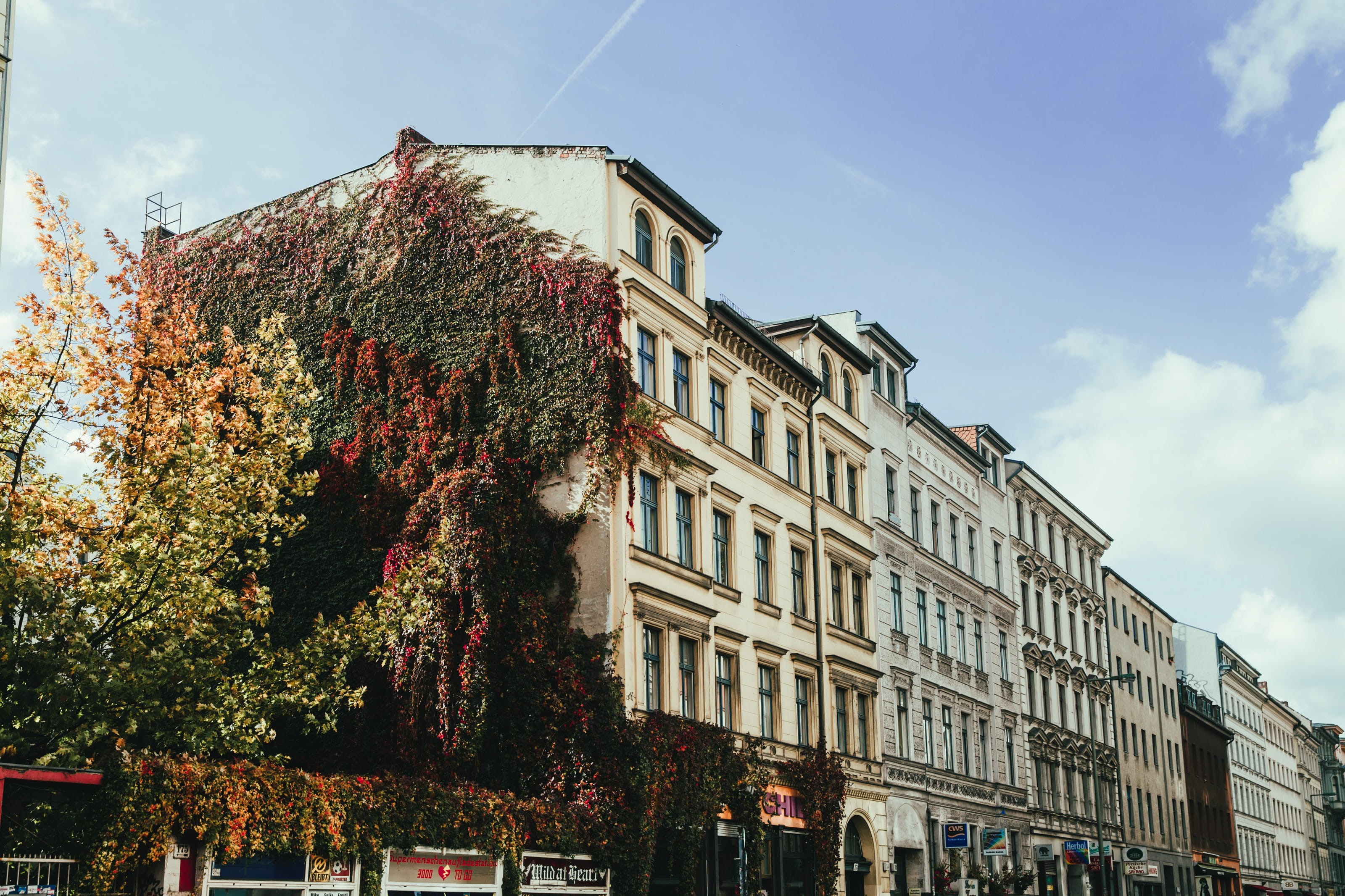 tourism, view, building exterior, travel destinations, urban, excursion, europe, outdoors, museum, attractions, sightseeing, exterior, growth, attraction, HD Wallpaper